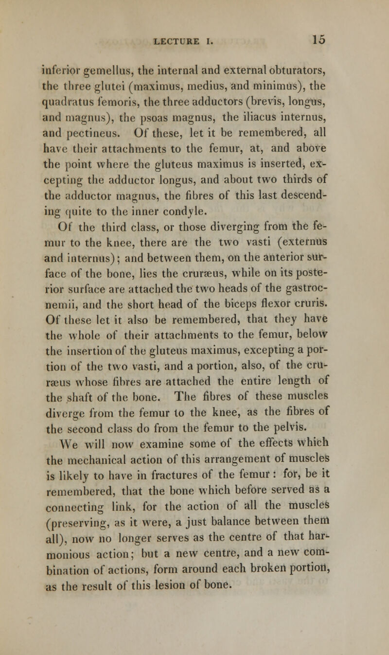 inferior gemellus, the internal and external obturators, the three glutei (maximus, medius, and minimus), the quadratus femoris, the three adductors (brevis, longus, and magnus), the psoas magnus, the iliacus internus, and pectineus. Of these, let it be remembered, all have their attachments to the femur, at, and above the point where the gluteus maximus is inserted, ex- cepting the adductor longus, and about two thirds of the adductor magnus, the fibres of this last descend- ing quite to the inner condyle. Of the third class, or those diverging from the fe- mur to the knee, there are the two vasti (externus and internus); and between them, on the anterior sur- face of the bone, lies the crurseus, while on its poste- rior surface are attached the two heads of the gastroc- nemii, and the short head of the biceps flexor cruris. Of these let it also be remembered, that they have the whole of their attachments to the femur, below the insertion of the gluteus maximus, excepting a por- tion of the two vasti, and a portion, also, of the cru- raeus whose fibres are attached the entire length of the shaft of the bone. The fibres of these muscles diverge from the femur to the knee, as the fibres of the second class do from the femur to the pelvis. We will now examine some of the effects which the mechanical action of this arrangement of muscles is likely to have in fractures of the femur: for, be it remembered, that the bone which before served as a connecting link, for the action of all the muscles (preserving, as it were, a just balance between them all), now no longer serves as the centre of that har- monious action; but a new centre, and a new com- bination of actions, form around each broken portion, as the result of this lesion of bone.