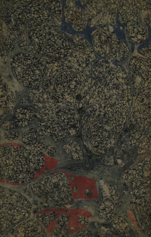 No text description is available for this image