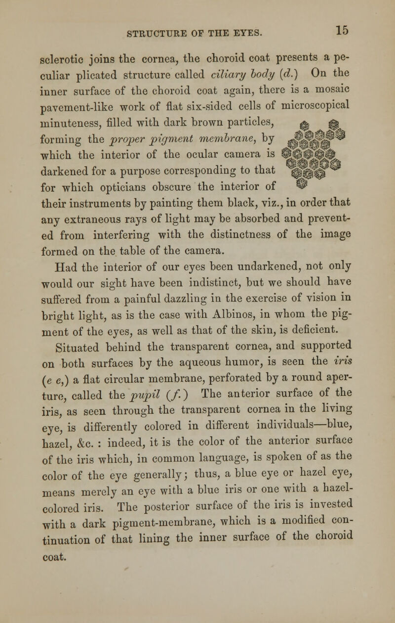 sclerotic joins the cornea, the choroid coat presents a pe- culiar plicated structure called ciliary body (d.) On the inner surface of the choroid coat again, there is a mosaic pavement-like work of flat six-sided cells of microscopical minuteness, filled with dark Drown particles, ^ ^ forming the proper pigment membrane, by m^mm which the interior of the ocular camera is %S^%# . , j- .a. i. ^^#OH darkened for a purpose corresponding to that lpp|| *^ for which opticians obscure the interior of W their instruments by painting them black, viz., in order that any extraneous rays of light may be absorbed and prevent- ed from interfering with the distinctness of the image formed on the table of the camera. Had the interior of our eyes been undarkened, not only would our sight have been indistinct, but we should have suffered from a painful dazzling in the exercise of vision in bright light, as is the case with Albinos, in whom the pig- ment of the eyes, as well as that of the skin, is deficient. Situated behind the transparent cornea, and supported on both surfaces by the aqueous humor, is seen the iris (e e,) a flat circular membrane, perforated by a round aper- ture, called the pupil (/.) The anterior surface of the iris, as seen through the transparent cornea in the living eye, is differently colored in different individuals—blue, hazel, &c. : indeed, it is the color of the anterior surface of the iris which, in common language, is spoken of as the color of the eye generally; thus, a blue eye or hazel eye, means merely an eye with a blue iris or one with a hazel- colored iris. The posterior surface of the iris is invested with a dark pigment-membrane, which is a modified con- tinuation of that lining the inner surface of the choroid coat.