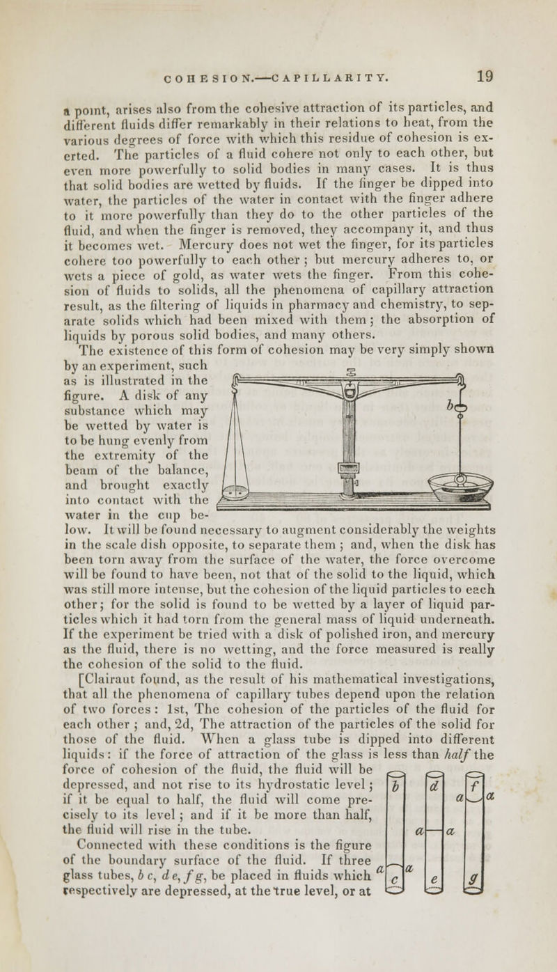 a point, arises also from the cohesive attraction of its particles, and different fluids differ remarkably in their relations to heat, from the various degrees of force with which this residue of cohesion is ex- erted. The particles of a fluid cohere not only to each other, but even more powerfully to solid bodies in many cases. It is thus that solid bodies are wetted by fluids. If the finger be dipped into water, the particles of the water in contact with the finger adhere to it more powerfully than they do to the other particles of the fluid, and when the finger is removed, they accompany it, and thus it becomes wet. Mercury does not wet the finger, for its particles cohere too powerfully to each other ; but mercury adheres to, or wets a piece of gold, as water wets the finger. From this cohe- sion of fluids to solids, all the phenomena of capillary attraction result, as the filtering of liquids in pharmacy and chemistry, to sep- arate solids which had been mixed with them; the absorption of liquids by porous solid bodies, and many others. The existence of this form of cohesion may be very simply shown by an experiment, such as is illustrated in the figure. A disk of any substance which may be wetted by water is to be hung evenly from the extremity of the beam of the balance, and brought exactly into contact with the water in the cup be- low. It will be found necessary to augment considerably the weights in the scale dish opposite, to separate them ; and, when the disk has been torn away from the surface of the water, the force overcome will be found to have been, not that of the solid to the liquid, which was still more intense, but the cohesion of the liquid particles to each other; for the solid is found to be wetted by a layer of liquid par- ticles which it had torn from the general mass of liquid underneath. If the experiment be tried with a disk of polished iron, and mercury as the fluid, there is no wetting, and the force measured is really the cohesion of the solid to the fluid. [Clairaut found, as the result of his mathematical investigations, that all the phenomena of capillary tubes depend upon the relation of two forces: 1st, The cohesion of the particles of the fluid for each other ; and, 2d, The attraction of the particles of the solid for those of the fluid. When a glass tube is dipped into different liquids: if the force of attraction of the glass is less than half the force of cohesion of the fluid, the fluid will be depressed, and not rise to its hydrostatic level; if it be equal to half, the fluid will come pre- cisely to its level ; and if it be more than half, the fluid will rise in the tube. Connected with these conditions is the figure of the boundary surface of the fluid. If three glass tubes, b c, de,fg, be placed in fluids which respectively are depressed, at the true level, or at