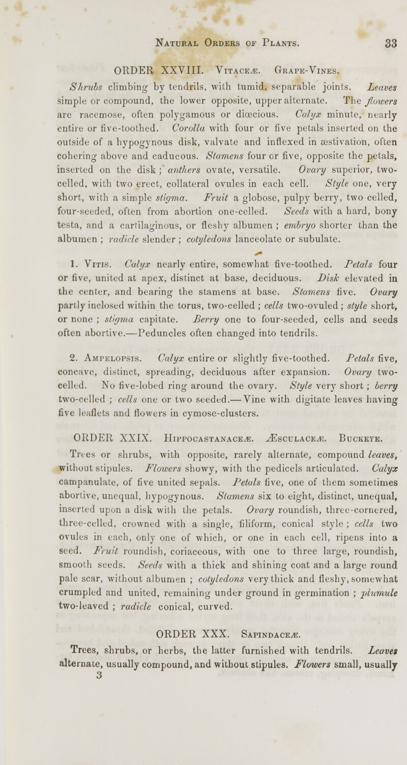 ORDER XXVIII. Vitace.e. Grape-Vines. Shrubs climbing by tendrils, with tumid, separable joints. Leaves simple or compound, the lower opposite, upper alternate. The flowers are racemose, often polygamous or dioecious. Calyx minute, nearly entire or five-toothed. Corolla with four or five petals inserted on the outside of a hypogynous disk, valvate and inflexed in aestivation, often cohering above and caducous. Stamens four or five, opposite the petals, inserted on the disk ; anthers ovate, versatile. Ovary superior, two- celled, with two erect, collateral ovules in each cell. Style one, very short, with a simple stigma. Fruit a globose, pulpy berry, two celled, four-seeded, often from abortion one-celled. Seeds with a hard, bony testa, and a cartilaginous, or fleshy albumen ; embryo shorter than the albumen ; radicle slender ; cotyledons lanceolate or subulate. 1. Vitis. Calyx nearly entire, somewhat five-toothed. Petals four or five, united at apex, distinct at base, deciduous. Disk elevated in the center, and bearing the stamens at base. Stamens five. Ovary partly inclosed within the torus, two-celled ; cells two-ovuled; style short, or none ; stigma capitate. Berry one to four-seeded, cells and seeds often abortive.—Peduncles often changed into tendrils. 2. Ampelopsis. Calyx entire or slightly five-toothed. Petals five, concave, distinct, spreading, deciduous after expansion. Ovary two- celled. No five-lobed ring around the ovary. Style very short ; berry two-celled ; cells one or two seeded.— Vine with digitate leaves having five leaflets and flowers in cymose-clusters. ORDER XXIX. HlPPOCASTANACEJE. ^EsCULACE.E. BUCKEYE. Trees or shrubs, with opposite, rarely alternate, compound leaves, without stipules. Flowers showy, with the pedicels articulated. Calyx campanulate, of five united sepals. Petals five, one of them sometimes abortive, unequal, hypogynous. Stamens six to eight, distinct, unequal, inserted upon a disk with the petals. Ovary roundish, three-cornered, three-celled, crowned with a single, filiform, conical style ; cells two ovules in each, only one of which, or one in each cell, ripens into a seed. Fruit roundish, coriaceous, with one to three large, roundish, smooth seeds. Seeds with a thick and shining coat and a large round pale scar, without albumen ; cotyledons very thick and fleshy, somewhat crumpled and united, remaining under ground in germination ; plumule two-leaved ; radicle conical, curved. ORDER XXX. Sapindace^. Trees, shrubs, or herbs, the latter furnished with tendrils. Leaves alternate, usually compound, and without stipules. Flowers small, usually