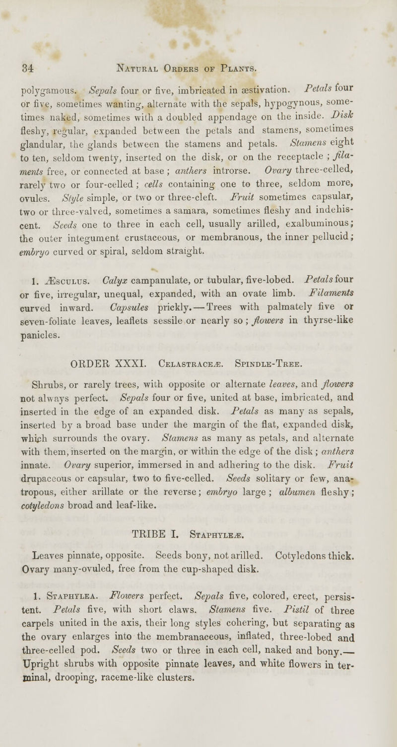polygamous. Sepals four or five, imbricated in aestivation. Petals four or five, sometimes wanting-, alternate with the sepals, hypogynous, some- times naked, sometimes with a doubled appendage on the inside. Disk fleshy, regular, expanded between the petals and stamens, sometimes glandular, the glands between the stamens and petals. Stamens eight to ten, seldom twenty, inserted on the disk, or on the receptacle ; fila- ments free, or connected at base ; anthers introrse. Ovary three-celled, rarely two or four-celled; cells containing one to three, seldom more, ovules. Style simple, or two or three-cleft. Fruit sometimes capsular, two or three-valved, sometimes a samara, sometimes fleshy and indehis- cent. Seeds one to three in each cell, usually arilled, exalbuminous; the outer integument crustaceous, or membranous, the inner pellucid; embryo curved or spiral, seldom straight. 1. ^Esculus. Calyx campanulate, or tubular, five-lobed. Petals four or five, irregular, unequal, expanded, with an ovate limb. Filaments curved inward. Capsules prickly. — Trees with palmately five or seven-foliate leaves, leaflets sessile or nearly so ; fiowers in thyrse-like panicles. ORDER XXXI. Celastrace^e. Spindle-Tree. Shrubs, or rarely trees, with opposite or alternate leaves, and flowers not always perfect. Sepals four or five, united at base, imbricated, and inserted in the edge of an expanded disk. Petals as many as sepals, inserted by a broad base under the margin of the flat, expanded disk, which surrounds the ovary. Stamens as many as petals, and alternate with them, inserted on the margin, or within the edge of the disk ; anthers innate. Ovary superior, immersed in and adhering to the disk. Fruit drupaceous or capsular, two to five-celled. Seeds solitary or few, ana- tropous, either arillate or the reverse; embryo large; albumen fleshy; cotyledons broad and leaf-like. TRIBE I. Staphtle^:. Leaves pinnate, opposite. Seeds bony, not arilled. Cotyledons thick. Ovary many-ovuled, free from the cup-shaped disk. 1. Staphylea. Flowers perfect. Sepals five, colored, erect, persis- tent. Petals five, with short claws. Stamens five. Pistil of three carpels united in the axis, their long styles cohering, but separating as the ovary enlarges into the membranaceous, inflated, three-lobed and three-celled pod. Seeds two or three in each cell, naked and bony. Upright shrubs with opposite pinnate leaves, and white flowers in ter- minal, drooping, raceme-like clusters.