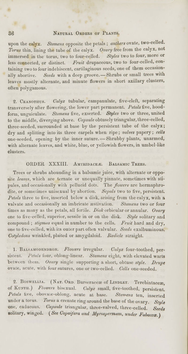 upon the calyx. Stamens opposite the petals ; anthers ovate, two-celled. Torus thin, lining the tube of the calyx. Ovary free from the calyx, not immersed in the torus, two to four-celled. Styles two to four, more or less connected, or distinct. Fruit drupaceous, two to four-celled, con- taining two to four indehiscent, cartilaginous seeds, one of them occasion- ally abortive. Seeds with a deep groove. — Shrubs or small trees with leaves mostly alternate, and minute flowers in short axillary clusters, often polygamous. 2. Ceanothus. Calyx tubular, campanulate, five-cleft, separating transversely after flowering, the lower part permanent. Petals five, hood- form, unguiculate. Stamens five, exserted. Styles two or three, united to the middle, diverging above. Capsule obtusely triangular, three-celled, three-seeded, surrounded at base by the persistent tube of the calyx; dry and splitting into its three carpels when ripe; valves papery; cells one-seeded, opening by the inner suture.— Shrubby plants, unarmed, with alternate leaves, and white, blue, or yellowish flowers, in umbel-like clusters. ORDER XXXIII. Amyridace^e. Balsamic Trees. Trees or shrubs abounding in a balsamic juice, with alternate or oppo- site leaves, which are ternate or unequally pinnate, sometimes with sti- pules, and occasionally with pellucid dots. The flowers are hermaphro- dite, or sometimes unisexual by abortion. Sepals two to five, persistent. Petals three to five, inserted below a disk, arising from the calyx, with a valvate and occasionally an imbricate aestivation. Stamens two or four times as many as the petals, all fertile. Disk orbicular or annular. Ovary one to five-celled, superior, sessile in or on the disk. Style solitary and compound ; stigmas equal in number to the cells. Fruit hard and dry, one to five-celled, with its outer part often valvular. Seeds exalbuminous. Cotyledons wrinkled, plaited or amygdaloid. Radicle straight. 1. Balsamodendron. Flowers irregular. Calyx four-toothed, per- sistent. Petals four, oblong-linear. Stamens eight, with elevated warts between them. Ovary single supporting a short, obtuse style. Drupe ovate, acute, with four sutures, one or two-celled. Cells one-seeded. 2. Boswellia. (Nat. Ord. Burseraceae of Lindley. Terebintaceae, of Kunth.) Flowers bisexual. Calyx small, five-toothed, persistent. Petals live, obovHLe-oblong, acute at base. Stamens ten, inserted under a torus. Torus a crenate ring around the base of the ovary. Style one, caducous. Capsule triangular, three-valved, three-celled. Seeds solitary, winged. (See Copai/era and Myrospermum, under Fubaccce.)