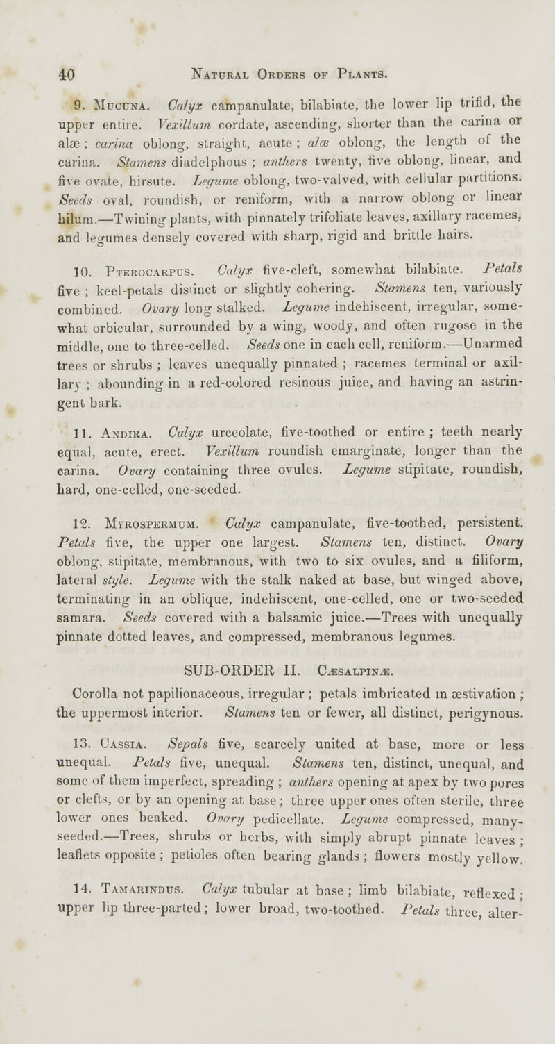 9. Mucuna. Calyx campanulate, bilabiate, the lower lip trifid, the upper entire. Vexillum cordate, ascending, shorter than the carina or alae; carina oblong, straight, acute; alee oblong, the length of the carina. Stamens diadelphous ; anthers twenty, five oblong, linear, and five ovate, hirsute. Legume oblong, two-valved, with cellular partitions. Seeds oval, roundish, or reniform, with a narrow oblong or linear hilum.—Twining plants, with pinnately trifoliate leaves, axillary racemes, and legumes densely covered with sharp, rigid and brittle hairs. 10. Pterocarpus. Calyx five-cleft, somewhat bilabiate. Petals five ; keel-petals disiinct or slightly cohering. Stamens ten, variously combined. Ovary long stalked. Legume indehiscent, irregular, some- what orbicular, surrounded by a wing, woody, and often rugose in the middle, one to three-celled. Seeds one in each cell, reniform.—Unarmed trees or shrubs ; leaves unequally pinnated ; racemes terminal or axil- lary ; abounding in a red-colored resinous juice, and having an astrin- gent bark. 11. Andira. Calyx urceolate, five-toothed or entire; teeth nearly equal, acute, erect. Vexillum roundish emarginate, longer than the carina. Ovary containing three ovules. Legume stipitate, roundish, hard, one-celled, one-seeded. 12. Myrospermum. Calyx campanulate, five-toothed, persistent. Petals five, the upper one largest. Stamens ten, distinct. Ovary oblong, stipitate, membranous, with two to six ovules, and a filiform, lateral style. Legume with the stalk naked at base, but winged above, terminating in an oblique, indehiscent, one-celled, one or two-seeded samara. Seeds covered with a balsamic juice.—Trees with unequally pinnate dotted leaves, and compressed, membranous legumes. SUB-ORDER II. C^salpin^. Corolla not papilionaceous, irregular ; petals imbricated in aestivation ; the uppermost interior. Stamens ten or fewer, all distinct, perigynous. 13. Cassia. Sepals five, scarcely united at base, more or less unequal. Petals five, unequal. Stamens ten, distinct, unequal, and some of them imperfect, spreading ; anthers opening at apex by two pores or clefts, or by an opening at base; three upper ones often sterile, three lower ones beaked. Ovary pedicellate. Legume compressed, many- seeded.—Trees, shrubs or herbs, with simply abrupt pinnate leaves ■ leaflets opposite ; petioles often bearing glands; flowers mostly yellow. 14. Tamarindus. Calyx tubular at base; limb bilabiate, reflexed • upper lip three-parted; lower broad, two-toothed. Petals three, alter-