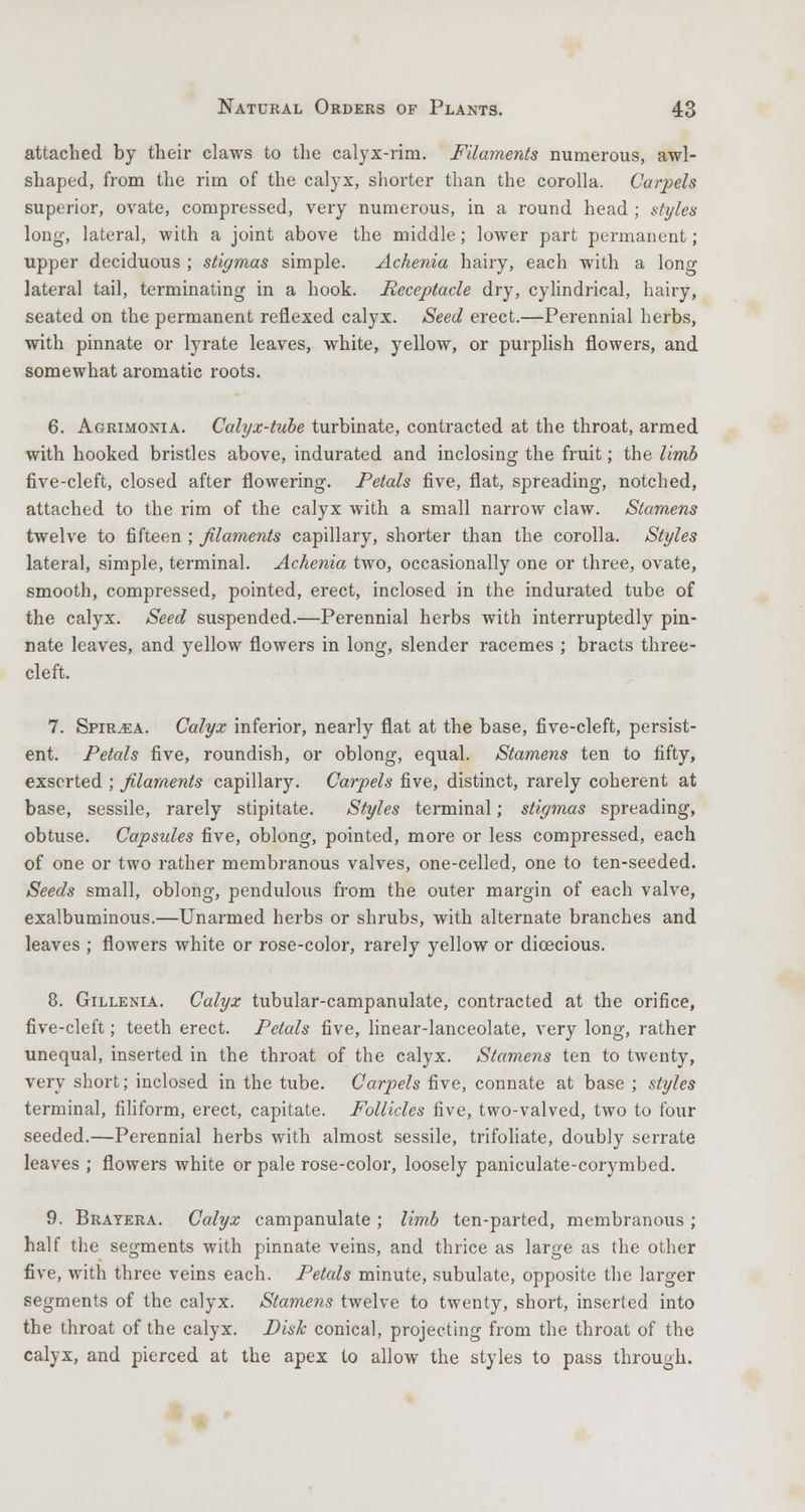 attached by their claws to the calyx-rim. Filaments numerous, awl- shaped, from the rim of the calyx, shorter than the corolla. Caipels superior, ovate, compressed, very numerous, in a round head ; styles long, lateral, with a joint above the middle; lower part permanent; upper deciduous ; stigmas simple. Achenia hairy, each with a long lateral tail, terminating in a hook. Receptacle dry, cylindrical, hairy, seated on the permanent reflexed calyx. Seed erect.—Perennial herbs, with pinnate or lyrate leaves, white, yellow, or purplish flowers, and somewhat aromatic roots. 6. Agrimonia. Calyx-tube turbinate, contracted at the throat, armed with hooked bristles above, indurated and inclosing the fruit; the limb five-cleft, closed after flowering. Petals five, flat, spreading, notched, attached to the rim of the calyx with a small narrow claw. Stamens twelve to fifteen ; filaments capillary, shorter than the corolla. Styles lateral, simple, terminal. Achenia two, occasionally one or three, ovate, smooth, compressed, pointed, erect, inclosed in the indurated tube of the calyx. Seed suspended.—Perennial herbs with interruptedly pin- nate leaves, and yellow flowers in long, slender racemes ; bracts three- cleft. 7. Spiraea. Calyx inferior, nearly flat at the base, five-cleft, persist- ent. Petals five, roundish, or oblong, equal. Stamens ten to fifty, exscrted ; filaments capillary. Carpels five, distinct, rarely coherent at base, sessile, rarely stipitate. Styles terminal; stigmas spreading, obtuse. Capsules five, oblong, pointed, more or less compressed, each of one or two rather membranous valves, one-celled, one to ten-seeded. Seeds small, oblong, pendulous from the outer margin of each valve, exalbuminous.—Unarmed herbs or shrubs, with alternate branches and leaves ; flowers white or rose-color, rarely yellow or dioecious. 8. Gillenia. Calyx tubular-campanulate, contracted at the orifice, five-cleft; teeth erect. Petals five, linear-lanceolate, very long, rather unequal, inserted in the throat of the calyx. Stamens ten to twenty, very short; inclosed in the tube. Carpels five, connate at base ; styles terminal, filiform, erect, capitate. Follicles five, two-valved, two to four seeded.—Perennial herbs with almost sessile, trifoliate, doubly serrate leaves ; flowers white or pale rose-color, loosely paniculate-corymbed. 9. Brayera. Calyx campanulate; limb ten-parted, membranous; half the segments with pinnate veins, and thrice as large as the other five, with three veins each. Petals minute, subulate, opposite the larger segments of the calyx. Stamens twelve to twenty, short, inserted into the throat of the calyx. Disk conical, projecting from the throat of the calyx, and pierced at the apex to allow the styles to pass through.