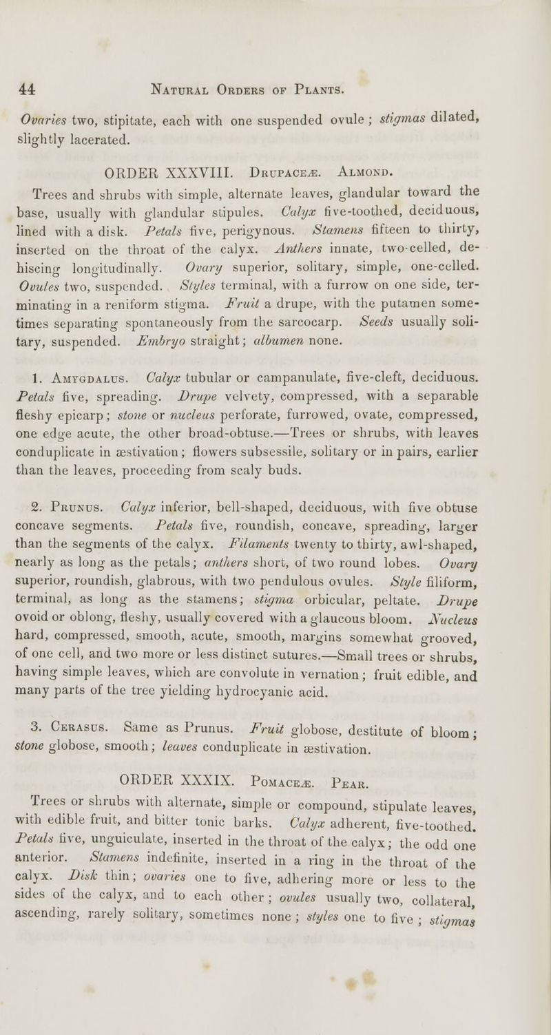 Ovaries two, stipitate, each with one suspended ovule; stigmas duated, slightly lacerated. ORDER XXXVIII. Drupace^e. Almond. Trees and shrubs with simple, alternate leaves, glandular toward the base, usually with glandular stipules. Calyx five-toothed, deciduous, lined with a disk. Petals five, perigynous. Stamens fifteen to thirty, inserted on the throat of the calyx. Anthers innate, two-celled, de- hiscing longitudinally. Ovary superior, solitary, simple, one-celled. Ovules two, suspended. Styles terminal, with a furrow on one side, ter- minating in a reniform stigma. Fruit a drupe, with the putamen some- times separating spontaneously from the sarcocarp. Seeds usually soli- tary, suspended. Embryo straight; albumen none. 1. Amygdalus. Calyx tubular or campanulate, five-cleft, deciduous. Petals five, spreading. Drupe velvety, compressed, with a separable fleshy epicarp; stone or nucleus perforate, furrowed, ovate, compressed, one edge acute, the other broad-obtuse.—Trees or shrubs, with leaves conduplicate in aestivation ; flowers subsessile, solitary or in pairs, earlier than the leaves, proceeding from scaly buds. 2. Prunus. Calyx inferior, bell-shaped, deciduous, with five obtuse concave segments. Petals five, roundish, concave, spreading, larger than the segments of the calyx. Filaments twenty to thirty, awl-shaped, nearly as long as the petals; anthers short, of two round lobes. Ovary superior, roundish, glabrous, with two pendulous ovules. Style filiform, terminal, as long as the stamens; stigma orbicular, peltate. Drupe ovoid or oblong, fleshy, usually covered with a glaucous bloom. Xucleus hard, compressed, smooth, acute, smooth, margins somewhat grooved, of one cell, and two more or less distinct sutures.—Small trees or shrubs, having simple leaves, which are convolute in vernation; fruit edible, and many parts of the tree yielding hydrocyanic acid. 3. Cerasus. Same as Prunus. Fruit globose, destitute of bloom; stone globose, smooth; leaves conduplicate in aestivation. ORDER XXXIX. Pomaces. Pear. Trees or shrubs with alternate, simple or compound, stipulate leaves, with edible fruit, and bitter tonic barks. Calyx adherent, five-toothed! Petals five, unguiculate, inserted in the throat of the calyx; the odd one anterior. Stamens indefinite, inserted in a ring in the throat of the calyx. Disk thin; ovaries one to five, adhering more or less to the sides of the calyx, and to each other ; ovules usually two, collateral ascending, rarely solitary, sometimes none ; styles one to five ; stigma's