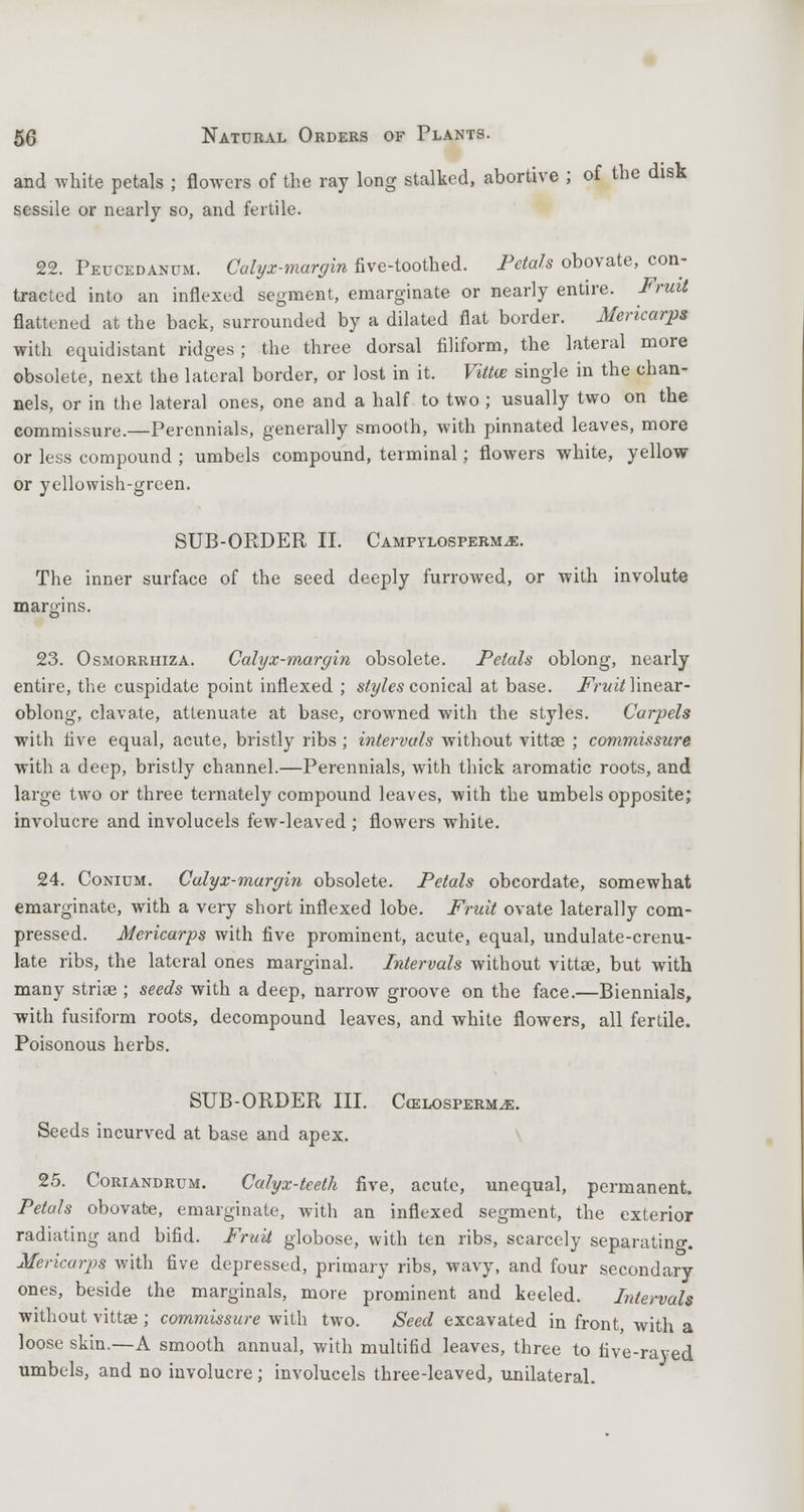 and white petals ; flowers of the ray long stalked, abortive ; of the disk sessile or nearly so, and fertile. 22. Peucedanum. Calyx-margin five-toothed. Petals obovate, con- tracted into an inflexed segment, emarginate or nearly entire. Fruit flattened at the back, surrounded by a dilated flat border. Mericarps with equidistant ridges; the three dorsal filiform, the lateral more obsolete, next the lateral border, or lost in it. Villa; single in the chan- nels, or in the lateral ones, one and a half to two ; usually two on the commissure.—Perennials, generally smooth, with pinnated leaves, more or less compound ; umbels compound, terminal; flowers white, yellow or yellowish-green. SUB-ORDER II. Campylospermje. The inner surface of the seed deeply furrowed, or with involute margins. 23. Osmorrhiza. Calyx-margin obsolete. Petals oblong, nearly entire, the cuspidate point inflexed ; styles conical at base. Fruit linear- oblong, elavate, attenuate at base, crowned with the styles. Carpels with five equal, acute, bristly ribs; intervals without vittse ; commissure with a deep, bristly channel.—Perennials, with thick aromatic roots, and large two or three ternately compound leaves, with the umbels opposite; involucre and involucels few-leaved ; flowers white. 24. Conium. Calyx-margin obsolete. Petals obcordate, somewhat emarginate, with a very short inflexed lobe. Fruit ovate laterally com- pressed. Mericarps with five prominent, acute, equal, undulate-crenu- late ribs, the lateral ones marginal. Intervals without vittae, but with many strise ; seeds with a deep, narrow groove on the face.—Biennials, with fusiform roots, decompound leaves, and white flowers, all fertile. Poisonous herbs. SUB-ORDER III. CtELOSPERMjs. Seeds incurved at base and apex. 25. Coriandrum. Calyx-teeth five, acute, unequal, permanent. Petals obovate, emarginate, with an inflexed segment, the exterior radiating and bifid. Fruit globose, with ten ribs, scarcely separating. Mericarps with five depressed, primary ribs, wavy, and four secondary ones, beside the marginals, more prominent and keeled. Intervals without vittae ; commissure with two. Seed excavated in front, with a loose skin.—A smooth annual, with multiOd leaves, three to five-rayed umbels, and no involucre; involucels three-leaved, unilateral.