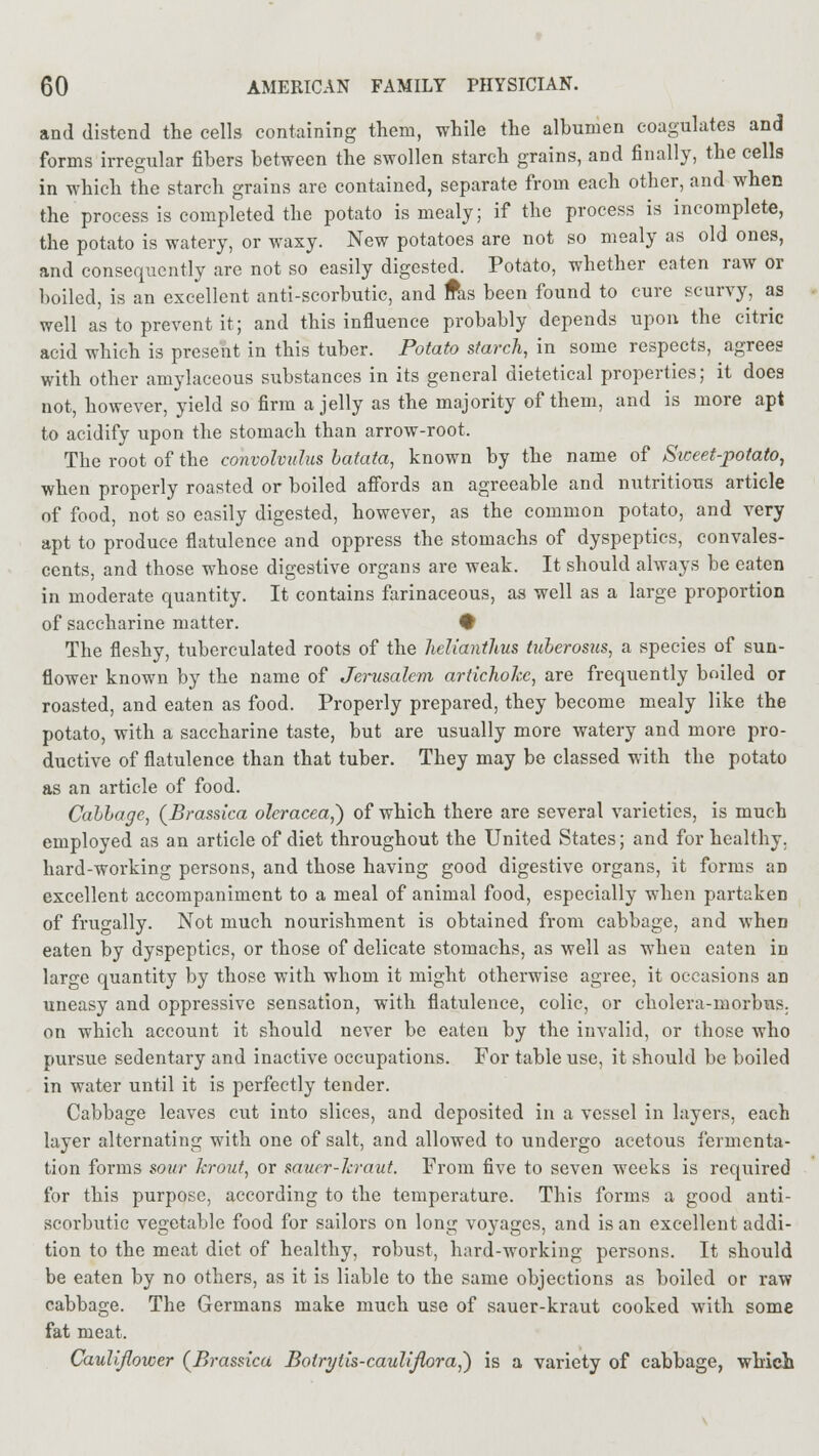 and distend the cells containing them, while the albumen coagulates and forms irregular fibers between the swollen starch grains, and finally, the cells in which the starch grains are contained, separate from each other, and when the process is completed the potato is mealy; if the process is incomplete, the potato is watery, or waxy. New potatoes are not so mealy as old ones, and consequently are not so easily digested. Potato, whether eaten raw or boiled, is an excellent anti-scorbutic, and fas been found to cure scurvy, as well as to prevent it; and this influence probably depends upon the citric acid which is present in this tuber. Potato starch, in some respects, agrees with other amylaceous substances in its general dietetical properties; it does not, however, yield so firm a jelly as the majority of them, and is more apt to acidify upon the stomach than arrow-root. The root of the convolvulus batata, known by the name of Sweet-potato, when properly roasted or boiled affords an agreeable and nutritious article of food, not so easily digested, however, as the common potato, and very apt to produce flatulence and oppress the stomachs of dyspeptics, convales- cents, and those whose digestive organs are weak. It should always be eaten in moderate quantity. It contains farinaceous, as well as a large proportion of saccharine matter. # The fleshy, tuberculated roots of the helianthus tuberosus, a species of sun- flower known by the name of Jerusalem artichoke, are frequently boiled or roasted, and eaten as food. Properly prepared, they become mealy like the potato, with a saccharine taste, but are usually more watery and more pro- ductive of flatulence than that tuber. They may be classed with the potato as an article of food. Cabbage, (Brassica olcracea,) of which there are several varieties, is much employed as an article of diet throughout the United States; and for healthy, hard-working persons, and those having good digestive organs, it forms an excellent accompaniment to a meal of animal food, especially when partaken of frugally. Not much nourishment is obtained from cabbage, and when eaten by dyspeptics, or those of delicate stomachs, as well as when eaten in large quantity by those with whom it might otherwise agree, it occasions an uneasy and oppressive sensation, with flatulence, colic, or cholera-morbus. on which account it should never be eaten by the invalid, or those who pursue sedentary and inactive occupations. For table use, it should be boiled in water until it is perfectly tender. Cabbage leaves cut into slices, and deposited in a vessel in layers, each layer alternating with one of salt, and allowed to undergo acetous fermenta- tion forms sour krout, or saucr-Jcraut. From five to seven weeks is required for this purpose, according to the temperature. This forms a good anti- scorbutic vegetable food for sailors on long voyages, and is an excellent addi- tion to the meat diet of healthy, robust, hard-working persons. It should be eaten by no others, as it is liable to the same objections as boiled or raw cabbage. The Germans make much use of sauer-kraut cooked with some fat meat. Cauliflower (Bi-assica Botrytis-caulijlora,') is a variety of cabbage, which