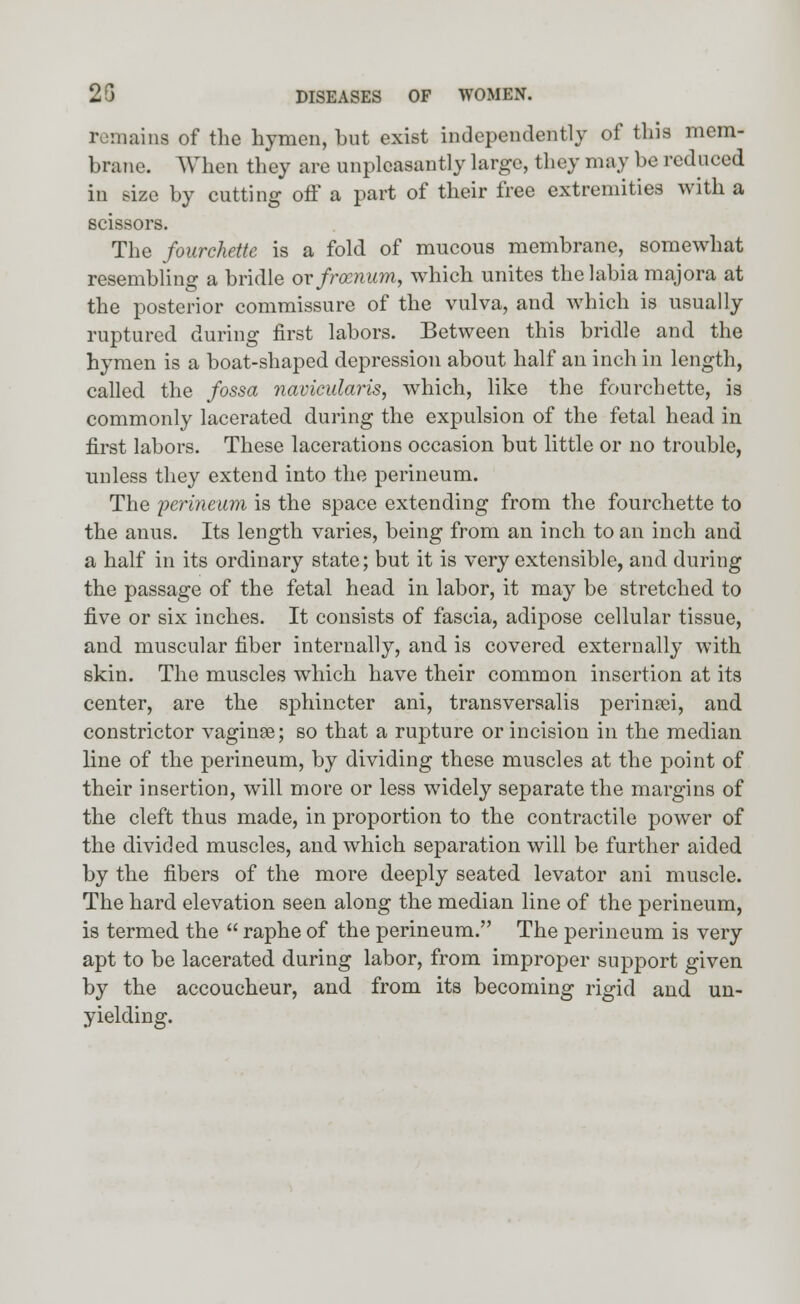 remains of the hymen, but exist independently of this mem- brane. When they are unpleasantly large, they may be reduced in size by cutting off a part of their free extremities with a scissors. The fourchettc is a fold of mucous membrane, somewhat resembling a bridle or frocnum, which unites the labia majora at the posterior commissure of the vulva, and which is usually ruptured during first labors. Between this bridle and the hymen is a boat-shaped depression about half an inch in length, called the fossa navicularis, which, like the fourchette, is commonly lacerated during the expulsion of the fetal head in first labors. These lacerations occasion but little or no trouble, unless they extend into the perineum. The 'perineum is the space extending from the fourchette to the anus. Its length varies, being from an inch to an inch and a half in its ordinary state; but it is very extensible, and during the passage of the fetal head in labor, it may be stretched to five or six inches. It consists of fascia, adipose cellular tissue, and muscular fiber internally, and is covered externally with skin. The muscles which have their common insertion at its center, are the sphincter ani, transversalis peri nan, and constrictor vaginas; so that a rupture or incision in the median line of the perineum, by dividing these muscles at the point of their insertion, will more or less w7idely separate the margins of the cleft thus made, in proportion to the contractile power of the divided muscles, and which separation will be further aided by the fibers of the more deeply seated levator ani muscle. The hard elevation seen along the median line of the perineum, is termed the  raphe of the perineum. The perineum is very apt to be lacerated during labor, from improper support given by the accoucheur, and from its becoming rigid and un- yielding.