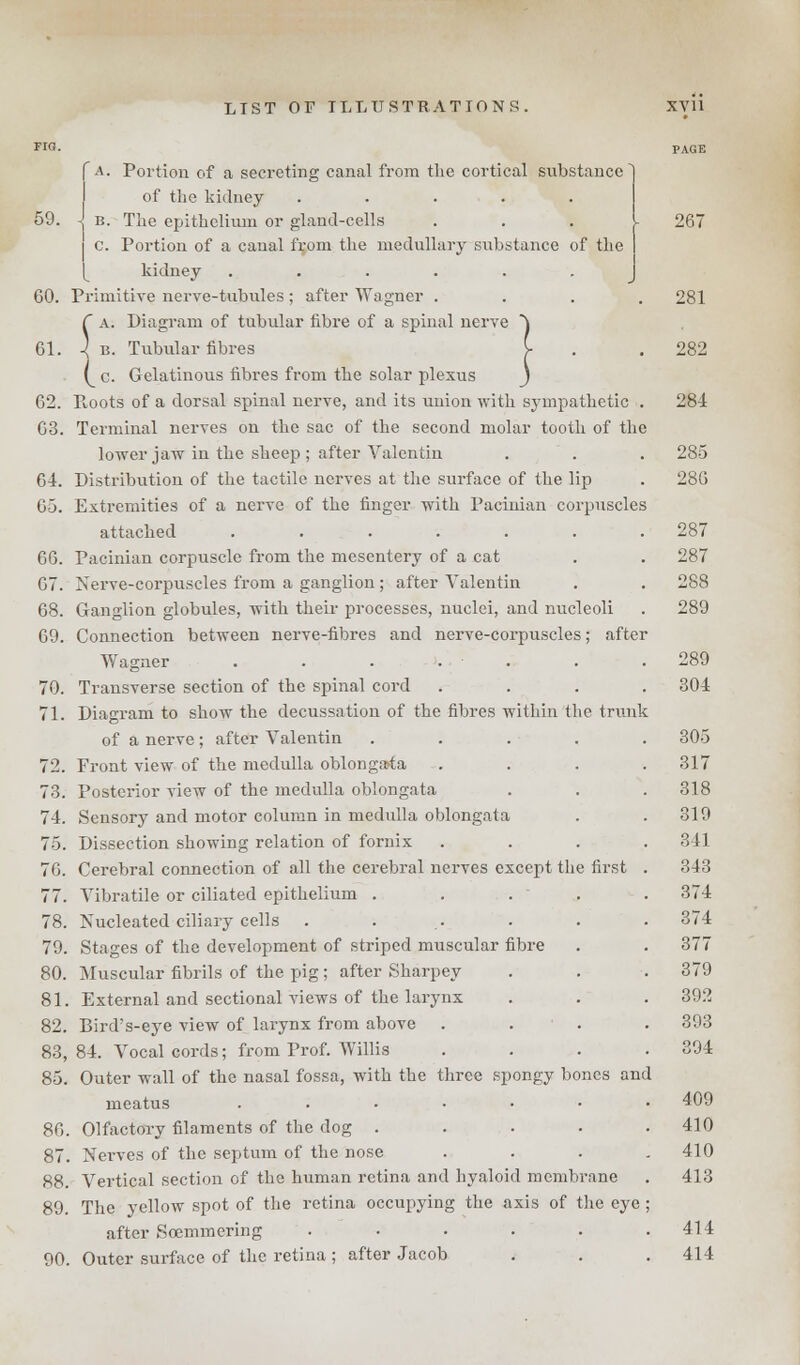 59. 60. 61. 62. 63. 64. 65. 66. 67. 68. CO. 70. 71. 7'.». 80. 81 82. 83. Portion of a secreting canal from the cortical substance of the kidney ..... The epithelium or gland-cells Portion of a canal from the medullary substance of the kidney ...... Primitive nerve-tubules ; after Wagner . a. Diagram of tubular fibre of a spinal nerve b. Tubular fibres c. Gelatinous fibres from the solar plexus Roots of a dorsal spinal nerve, and its union with sympathetic Terminal nerves on the sac of the second molar tooth of the lower jaw in the sheep ; after Valentin Distribution of the tactile nerves at the surface of the lip Extremities of a nerve of the finger with Pacinian corpuscles attached ...... Pacinian corpuscle from the mesentery of a cat Nerve-corpuscles from a ganglion ; after Valentin Ganglion globules, with their processes, nuclei, and nucleoli Connection between nerve-fibres and nerve-corpuscles; after Wagner . . . . Transverse section of the spinal cord Diagram to show the decussation of the fibres within the trunk of a nerve ; after Valentin .... Front view of the medulla oblongata Posterior view of the medulla oblongata Sensory and motor column in medulla oblongata Dissection showing relation of fornix Cerebral connection of all the cerebral nerves except the first Vibratile or ciliated epithelium .... Nucleated ciliary cells Stages of the development of striped muscular fibre Muscular fibrils of the pig; after Sharpey External and sectional views of the larynx Bird's-eye view of larynx from above 81. Vocal cords; from Prof. Willis Outer wall of the nasal fossa, with the three spongy bones and meatus ...... Olfactory filaments of the dog .... Nerves of the septum of the nose Vertical section of the human retina and hyaloid membrane The yellow spot of the retina occupying the axis of the eye after Soemmering ..... Outer surface of the retina ; after Jacob 267