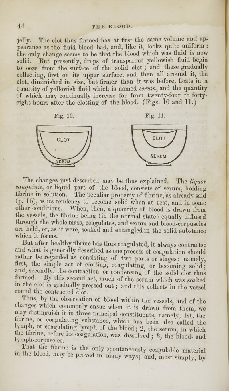 jelly. The clot thus formed has at first the same volume and ap- pearance as the fluid blood had, and, like it, looks quite uniform : the only change seems to be that the blood which was fluid is now solid. But presently, drops of transparent yellowish fluid begin to ooze from the surface of the solid clot; and these gradually collecting, first on its upper surface, and then all around it, the clot, diminished in size, but firmer than it was before, floats in a quantity of yellowish fluid which is named serum, and the quantity of which may continually increase for from twenty-four to forty- eight hours after the clotting of the blood. (Figs. 10 and 11.) Fig. 10. Fig. 11. The changes just described may be thus explained. The liquor sanguinis, or liquid part of the blood, consists of serum, holding fibrine in solution. The peculiar property of fibrine, as already said (p. 15), is its tendency to become solid when at rest, and insome other conditions. When, then, a quantity of blood is drawn from the vessels, the fibrine being (in the normal state) equally diffused through the whole mass, coagulates, and serum and blood-corpuscles are held, or, as it were, soaked and entangled in the solid substance which it forms. But after healthy fibrine has thus coagulated, it always contracts; and what is generally described as one process of coagulation should rather be regarded as consisting of two parts or stages; namely, first, the simple act of clotting, coagulating, or becoming solid; and, secondly, the contraction or condensing of the solid clot thus formed By this second act, much of the serum which was soaked in the clot is gradually pressed out; and this collects in the vessel round the contracted clot. Thus, by the observation of blood within the vessels, and of the changes which commonly ensue when it is drawn from them, we may distinguish it in three principal constituents, namely, 1st, the fibrine, or coagulating substance, which has been also called the lymph, or coagulating lymph of the blood; 2, the serum, in which the fabrme, before its coagulation, was dissolved; 3, the blood- and lymph-corpuscles. ft. fl&KW fibriUliS tLe ^ly sP°ntancously coagulable material m the blood, may be proved m many ways; and, most simply, by