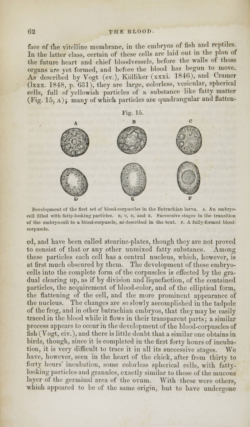 face of the vitelline membrane, in the embryos of fish and reptiles. In the latter class, certain of these cells are laid out in the plan of the future heart and chief bloodvessels, before the walls of those organs are yet formed, and before the blood has begun to move. As described by Vogt (cv.), Kolliker (xxxi. 1846), and Cramer (lxxx. 1848, p. 631), they are large, colorless, vesicular, spherical cells, full of yellowish particles of a substance like fatty matter (Fig. 15, a); many of which particles are quadrangular and flatten- Development of the first set of Wood-corpuscles in the Batraehian larva. A. An embryo- cell filled with fatty-looking particles. B, c, D, and E. Successive stages in the transition of the embryo-cell to a blood-corpuscle, as described in the text. F. A fully-formed blood- corpuscle. ed, and have been called stearine-plates, though they are not proved to consist of that or any other unmixed fatty substance. Among these particles each cell has a central nucleus, which, however, is at first much obscured by them. The development of these embryo- cells into the complete form of the corpuscles is effected by the gra- dual clearing up, as if by division and licpuefaction, of the contained particles, the acquirement of blood-color, and of the elliptical form, the flattening of the cell, and the more prominent appearance of the nucleus. The changes are so slowly accomplished in the tadpole of the frog, and in other batrachian embryos, that they may be easily traced in the blood while it flows in their transparent parts; a similar process appears to occur in the development of the blood-corpuscles of fish (Vogt, civ.), and there is little doubt that a similar one obtains in birds, though, since it is completed in the first forty hours of incuba- tion, it is very difficult to trace it in all its successive stages. We have, however, seen in the heart of the chick, after from thirty to forty hours' incubation, some colorless spherical cells, with fatty- looking particles and granules, exactly similar to those of the mucous layer of the germinal area of the ovum. With these were others, which appeared to be of the same origin, but to have undergone