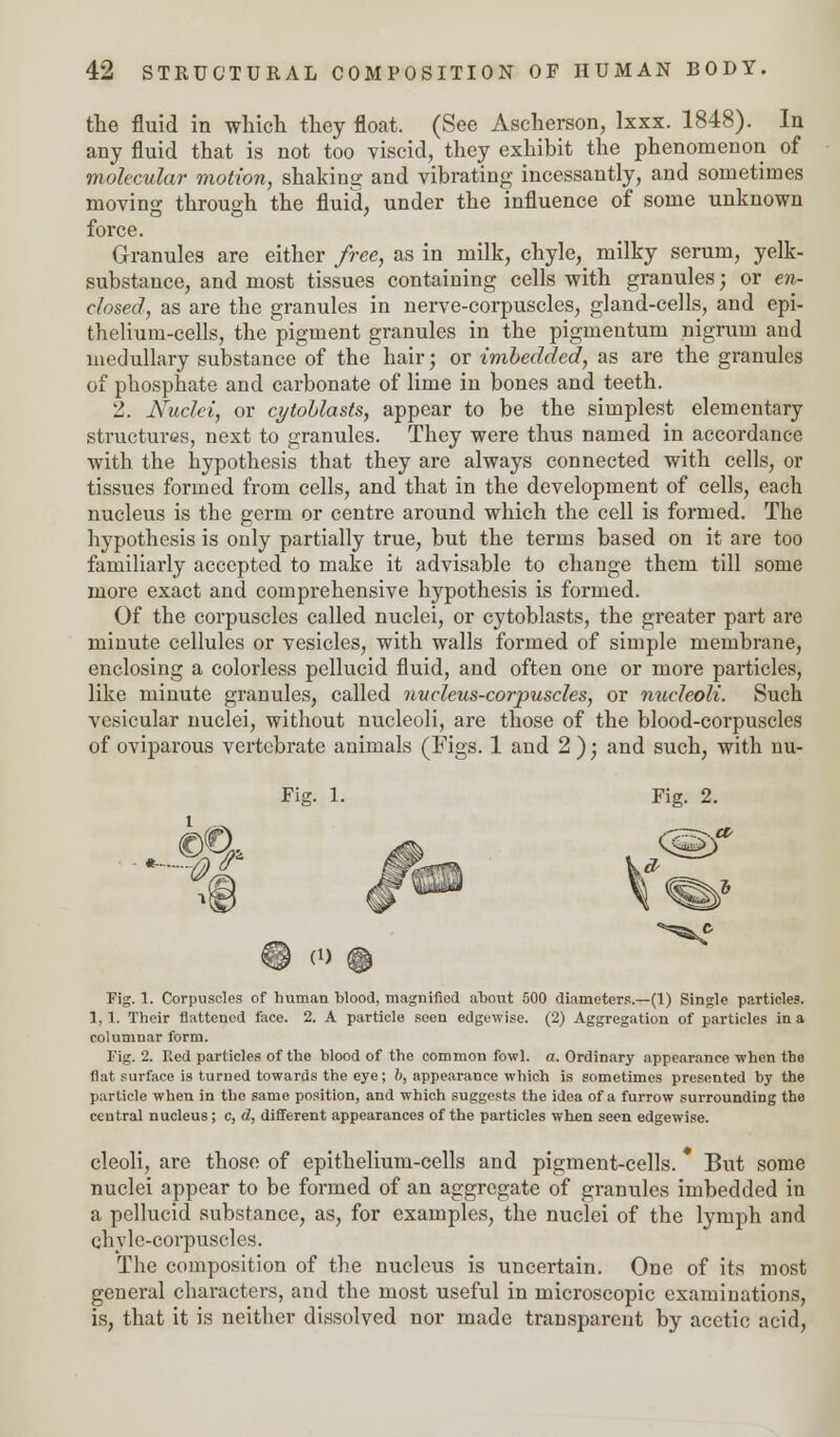 the fluid in which they float. (See Ascherson, lxxx. 1848). In any fluid that is not too viscid, they exhibit the phenomenon of molecular motion, shaking and vibrating incessantly, and sometimes moving through the fluid, under the influence of some unknown force. Granules are either free, as in milk, chyle, milky serum, yelk- substance, and most tissues containing cells with granules; or en- closed, as are the granules in nerve-corpuscles, gland-cells, and epi- thelium-cells, the pigment granules in the pigmentum nigrum and medullary substance of the hair; or imbedded, as are the granules of phosphate and carbonate of lime in bones and teeth. 2. Nuclei, or cytohlasts, appear to be the simplest elementary structures, next to granules. They were thus named in accordance with the hypothesis that they are always connected with cells, or tissues formed from cells, and that in the development of cells, each nucleus is the germ or centre around which the cell is formed. The hypothesis is only partially true, but the terms based on it are too familiarly accepted to make it advisable to change them till some more exact and comprehensive hypothesis is formed. Of the corpuscles called nuclei, or cytoblasts, the greater part are minute cellules or vesicles, with walls formed of simple membrane, enclosing a colorless pellucid fluid, and often one or more particles, like minute granules, called nucleus-corpuscles, or nucleoli. Such vesicular nuclei, without nucleoli, are those of the blood-corpuscles of oviparous vertebrate animals (Figs. 1 and 2 ); and such, with nu- Fig. 1. Fig. 2. l ~0l §3 M @ Fig. 1. Corpuscles of human blood, magnified about 500 diameters.—(1) Single particles. 1, 1. Their flattened face. 2. A particle seen edgewise. (2) Aggregation of particles in a columnar form. Fig. 2. Ked particles of the blood of the common fowl. a. Ordinary appearance when the flat surface is turned towards the eye; b, appearance which is sometimes presented by the particle when in the same position, and which suggests the idea of a furrow surrounding the central nucleus; c, d, different appearances of the particles wben seen edgewise. cleoli, are those of epithelium-cells and pigment-cells. But some nuclei appear to be formed of an aggregate of granules imbedded in a pellucid substance, as, for examples, the nuclei of the lymph and chyle-corpuscles. The composition of the nucleus is uncertain. One of its most general characters, and the most useful in microscopic examinations, is, that it is neither dissolved nor made transparent by acetic acid,