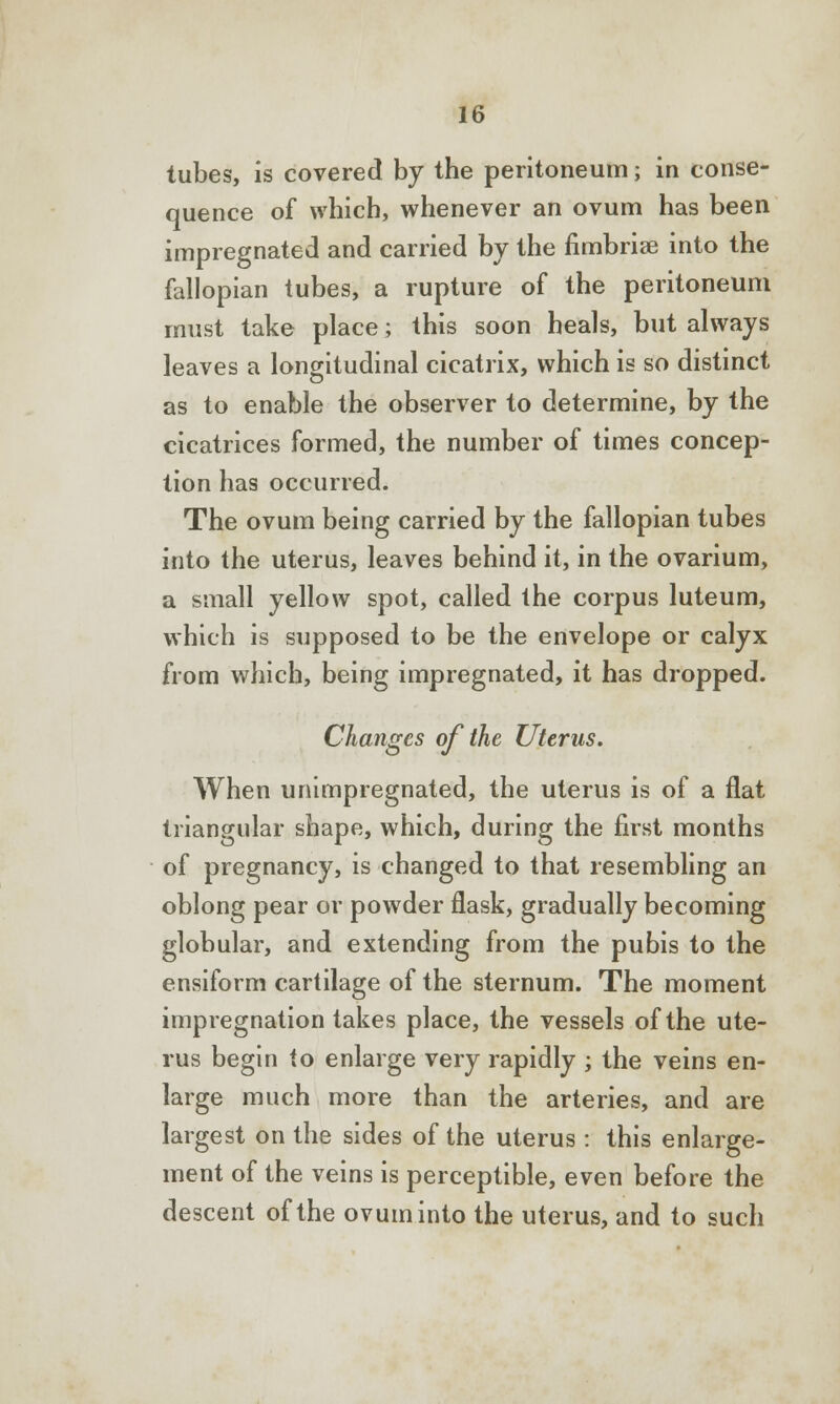 tubes, is covered by the peritoneum; in conse- quence of which, whenever an ovum has been impregnated and carried by the fimbria? into the fallopian tubes, a rupture of the peritoneum must take place; this soon heals, but always leaves a longitudinal cicatrix, which is so distinct as to enable the observer to determine, by the cicatrices formed, the number of times concep- tion has occurred. The ovum being carried by the fallopian tubes into the uterus, leaves behind it, in the ovarium, a small yellow spot, called the corpus luteum, which is supposed to be the envelope or calyx from which, being impregnated, it has dropped. Changes of the Uterus. When unimpregnated, the uterus is of a flat triangular shape, which, during the first months of pregnancy, is changed to that resembling an oblong pear or powder flask, gradually becoming globular, and extending from the pubis to the ensiform cartilage of the sternum. The moment impregnation takes place, the vessels of the ute- rus begin to enlarge very rapidly ; the veins en- large much more than the arteries, and are largest on the sides of the uterus : this enlarge- ment of the veins is perceptible, even before the descent of the ovum into the uterus, and to such