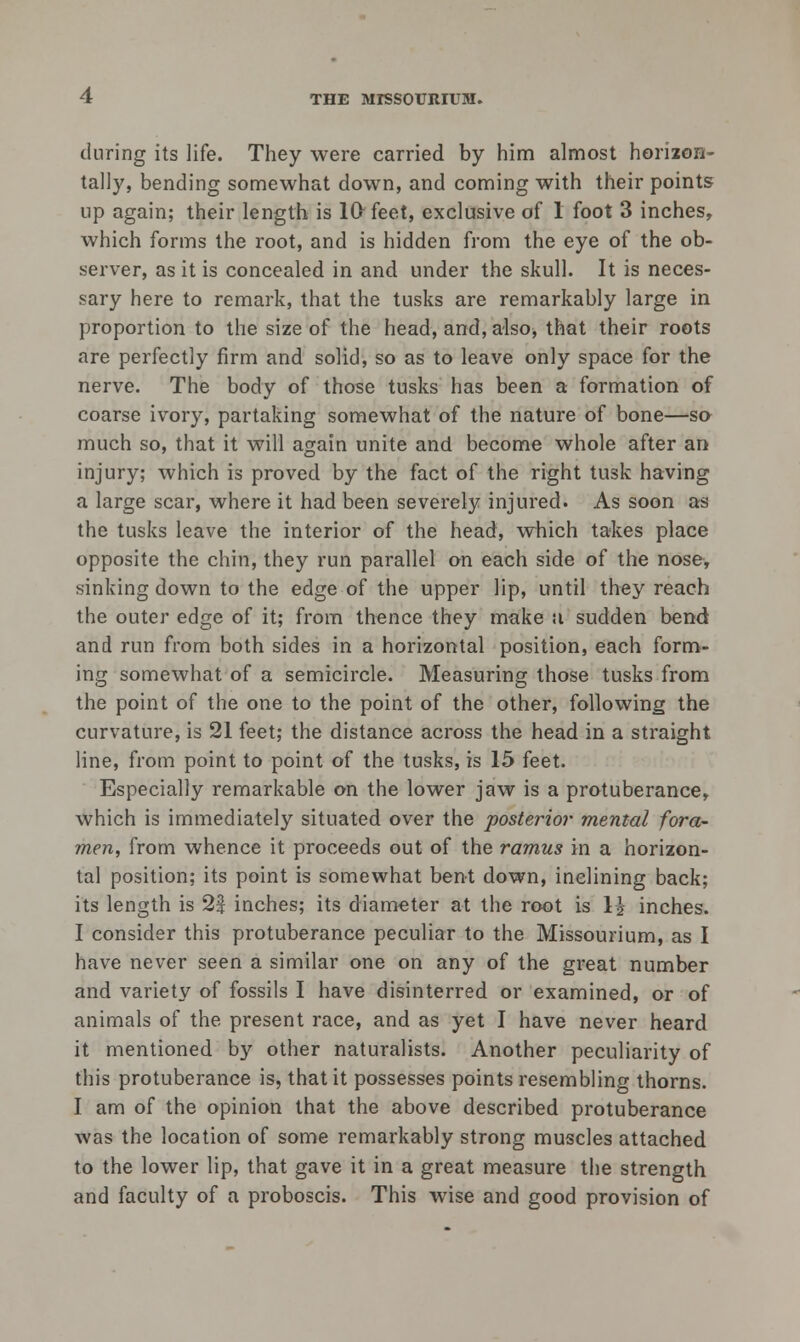 during its life. They were carried by him almost horiion- tally, bending somewhat down, and coming with their points lip again; their length is 10 feet, exclusive of 1 foot 3 inches, which forms the root, and is hidden from the eye of the ob- server, as it is concealed in and under the skull. It is neces- sary here to remark, that the tusks are remarkably large in proportion to the size of the head, and, alsoj that their roots are perfectly firm and solid, so as to leave only space for the nerve. The body of those tusks has been a formation of coarse ivory, partaking somewhat of the nature of bone—so much so, that it will again unite and become whole after an injury; which is proved by the fact of the right tusk having a large scar, where it had been severely injured. As soon as the tusks leave the interior of the head, which takes place opposite the chin, they run parallel on each side of the nose, sinking down to the edge of the upper lip, until they reach the outer edge of it; from thence they make u sudden bend and run from both sides in a horizontal position, each form- ing somewhat of a semicircle. Measuring those tusks from the point of the one to the point of the other, following the curvature, is 21 feet; the distance across the head in a straight line, from point to point of the tusks, is 15 feet. Especially remarkable on the lower jaw is a protuberance, which is immediately situated over the posterior mental fora- men, from whence it proceeds out of the ramus in a horizon- tal position; its point is somewhat bent down, inclining back; its length is 2f inches; its diameter at the root is H inches. I consider this protuberance peculiar to the Missourium, as I have never seen a similar one on any of the great number and variety of fossils I have disinterred or examined, or of animals of the present race, and as yet I have never heard it mentioned by other naturalists. Another peculiarity of this protuberance is, that it possesses points resembling thorns. I am of the opinion that the above described protuberance was the location of some remarkably strong muscles attached to the lower lip, that gave it in a great measure the strength and faculty of a proboscis. This wise and good provision of