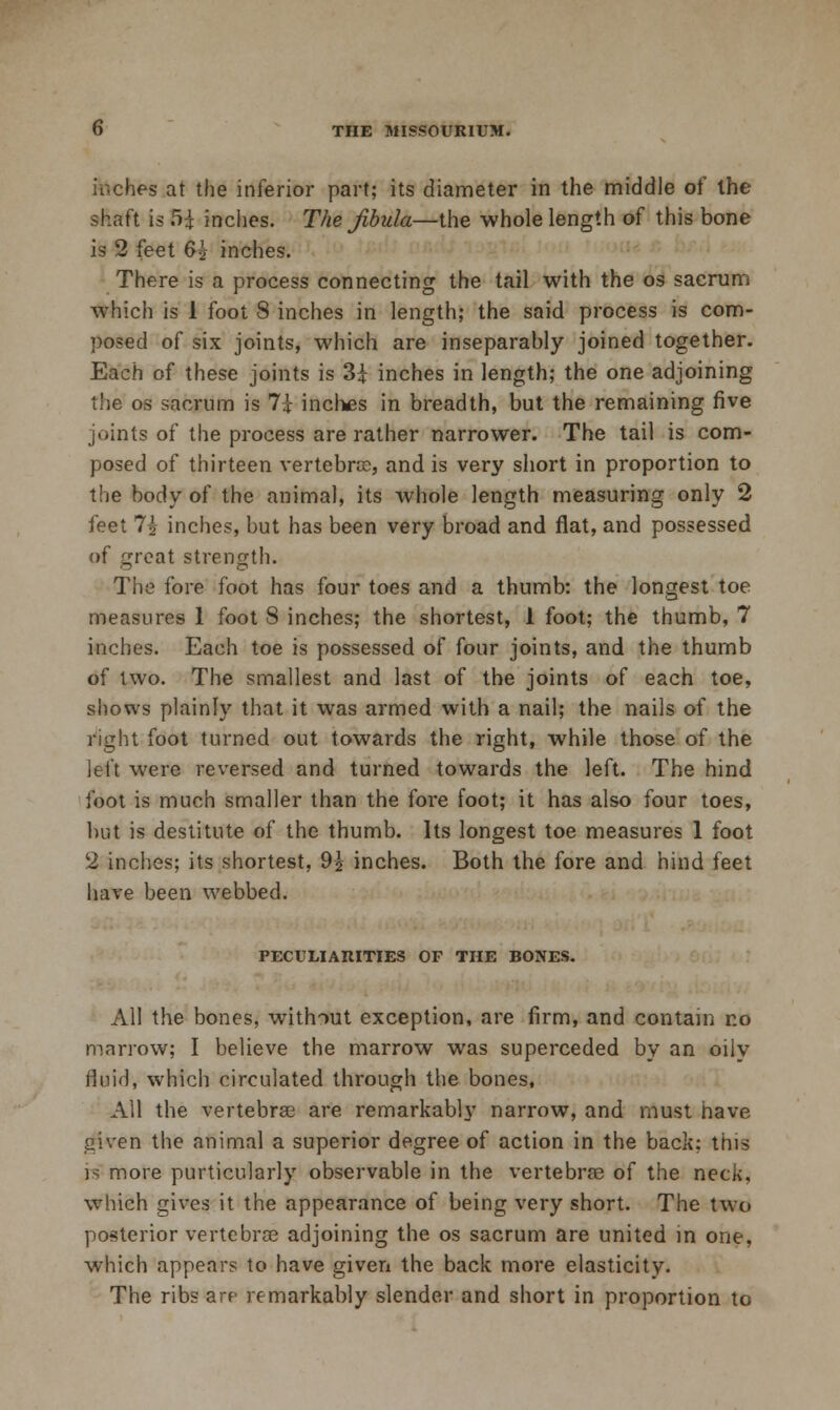 inches at the inferior part; its diameter in the middle of the shaft is 5i inches. The Jibula—the whole length of this bone is 2 feet 65 inches. There is a process connecting the tail with the os sacrum which is 1 foot 8 inches in length; the said process is com- posed of six joints, which are inseparably joined together. Each of these joints is 3i inches in length; the one adjoining the OS sacrum is 7i inclies in breadth, but the remaining five joints of the process are rather narrower. The tail is com- posed of thirteen vertebra;, and is very short in proportion to the body of the animal, its whole length measuring only 2 feet 7-2- inches, but has been very broad and flat, and possessed of great strength. The fore foot has four toes and a thumb: the longest toe measures 1 foot 8 inches; the shortest, 1 foot; the thumb, 7 inches. Each toe is possessed of four joints, and the thumb of two. The smallest and last of the joints of each toe, shows plainly that it was armed with a nail; the nails of the I'ight foot turned out towards the right, while those of the left were reversed and turned towards the left. The hind foot is much smaller than the fore foot; it has also four toes, but is destitute of the thumb. Its longest toe measures 1 foot 2 inches; its shortest, 92 inches. Both the fore and hind feet hare been webbed. PECULIAniTIES OF THE BONES. All the bones, without exception, are firm, and contain no mariow; I believe the marrow was superceded by an oily fluid, which circulated through the bones, All the vertebrae are remarkabl}' narrow, and must have given the animal a superior degree of action in the back; this is more purticularly observable in the vertebras of the neck, which gives it the appearance of being very short. The two posterior vertebrae adjoining the os sacrum are united in one, which appears to have given the back more elasticity. The ribs are remarkably slender and short in proportion to