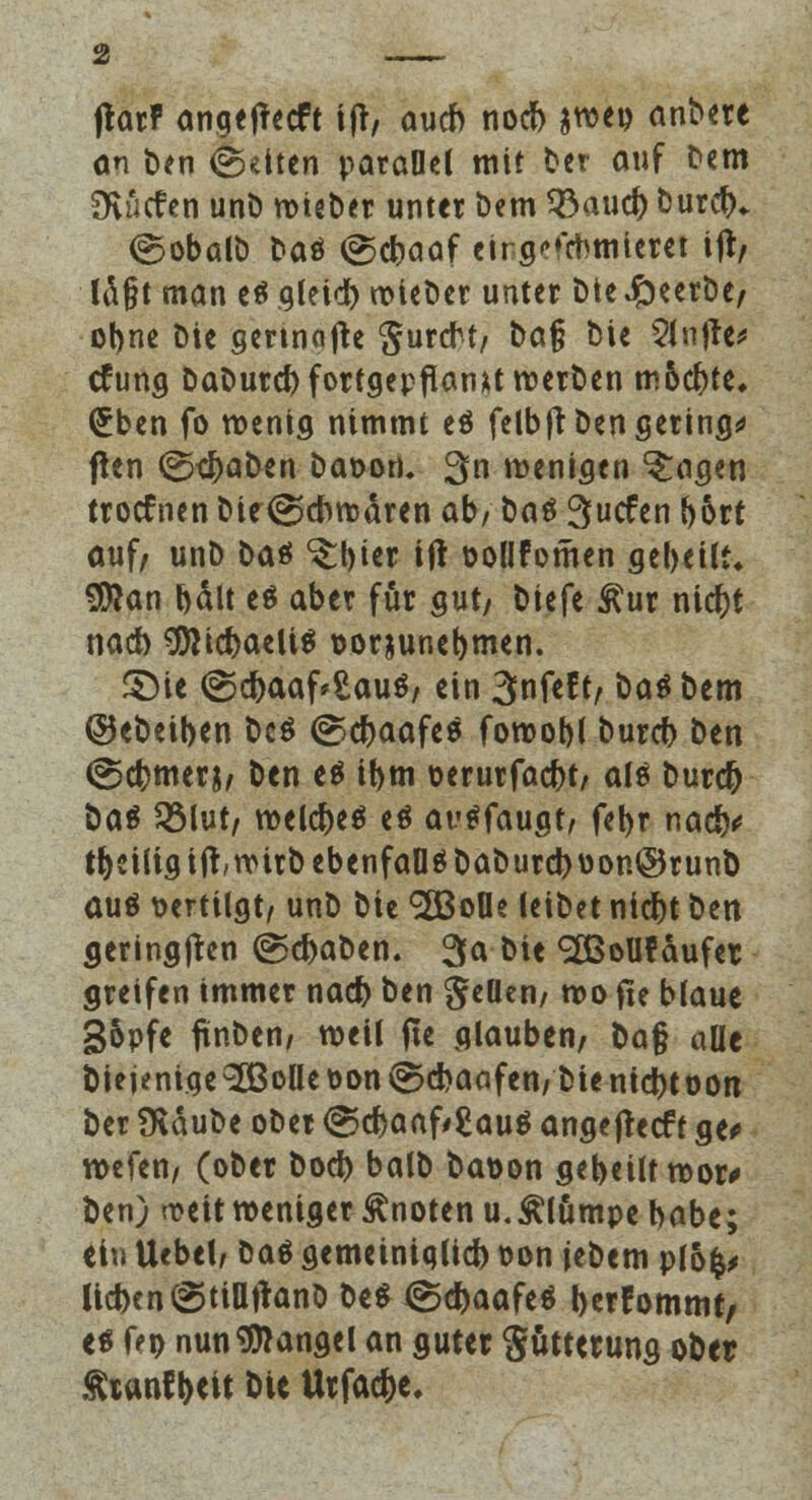 ftarF angejrecft ijt, auch nocb swei> anbere an ben ©dten parallel mit ber auf bem SKücfen unb wteber unter bem 93auc{) burcb* (gobalb baS (gcbaaf cing?m>mteret ijr, lägt man es gleid) wieber unter bte beerbe, ohne bte gertnofte Surcfa, ba§ bie 2Jnfre* cfuna baburd) fortgepflanzt werben m6cbte* (£ben fo wenig nimmt es felbjt ben gering* pen @$aben baoon. 3 wenigen ^agen trocfnen bie-@cb wären ab, baS 3»cfen b&rt auf, unb bat ^tyier t|t oollfomen gebetl?* Sföan bält es aber für gut/ biefe £ur nicfct nacb 9tticbaeUS oor&unebmen. S)ie <Sd)aaf'£auS, ein 3nfeft, baSbem ©ebeiben t>cö @cbaafeS fowobl burcb ben ©cbmer&, ben e$ il>m oerurfacbt, als burc& bat 33lut, welches es ai'Sfaugt, fet>r nad(y heilig in\wirb ebenfalls baburd)oon@runb aus vertilgt, unb bie 2BoDe leibet nicbt ben geringjten @d)aben. 3a bie SÖSoUfäufet greifen immer nad) ben gellen/ wo fie blaue §6pfe ftnbcri/ weil fie glauben, ba$ uüe biejenige^olleoon@d>aafen/bientd()tüon ber SKäube ober <^d>aaf*£auS ange jtecf t ge* wefen, (ober bod) balb baöon gebeilt wor# ben) weit weniger knoten u. klumpe habe; ein Uebel, baS gemeiniqlicb oon jebem plöfc, lieben (Stittjtanb beS (Sc&aafeS berfommt, es feo nun Mangel an guter Suttetung ober Ätanfbeit bie Urfadje,