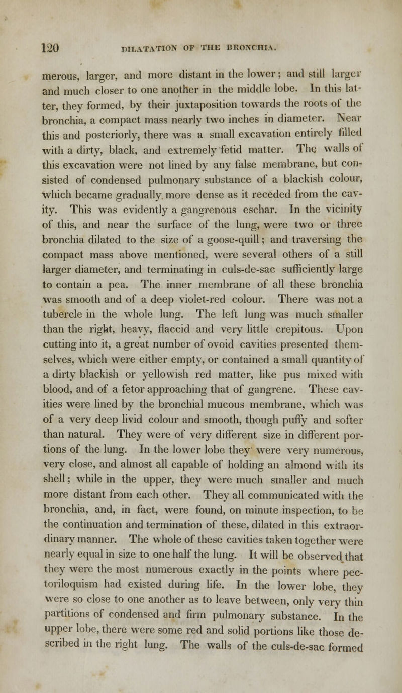 merous, larger, and more distant in the lower; and still larger and much closer to one another in the middle lobe. In this lat- ter, they formed, by their juxtaposition towards the roots of the bronchia, a compact mass nearly two inches in diameter. Near this and posteriorly, there was a small excavation entirely filled with a dirty, black, and extremely fetid matter. The walls ot this excavation were not lined by any false membrane, but con- sisted of condensed pulmonary substance of a blackish colour, which became gradually, more dense as it receded from the cav- ity. This was evidently a gangrenous eschar. In the vicinity of this, and near the surface of the lung, were two or three bronchia dilated to the size of a goose-quill; and traversing the compact mass above mentioned, were several others of a still larger diameter, and terminating in culs-de-sac sufficiently large to contain a pea. The inner membrane of all these bronchia was smooth and of a deep violet-red colour. There was not a tubercle in the whole lung. The left lung was much smaller than the right, heavy, flaccid and very little crepitous. Upon cutting into it, a great number of ovoid cavities presented them- selves, which were either empty, or contained a small quantity of a dirty blackish or yellowish red matter, like pus mixed with blood, and of a fetor approaching that of gangrene. These cav- ities were lined by the bronchial mucous membrane, which was of a very deep livid colour and smooth, though puffy and softer than natural. They were of very different size in different por- tions of the lung. In the lower lobe they were very numerous, very close, and almost all capable of holding an almond with its shell; while in the upper, they were much smaller and much more distant from each other. They all communicated with the bronchia, and, in fact, were found, on minute inspection, to bo the continuation and termination of these, dilated in this extraor- dinary manner. The whole of these cavities taken together were nearly equal in size to one half the lung. It will be observed that they were the most numerous exactly in the points where pec- toriloquism had existed during life. In the lower lobe, they were so close to one another as to leave between, only very thin partitions of condensed and firm pulmonary substance. In the upper lobe, there were some red and solid portions like those de- scribed in the right lung. The walls of the culs-de-sac formed