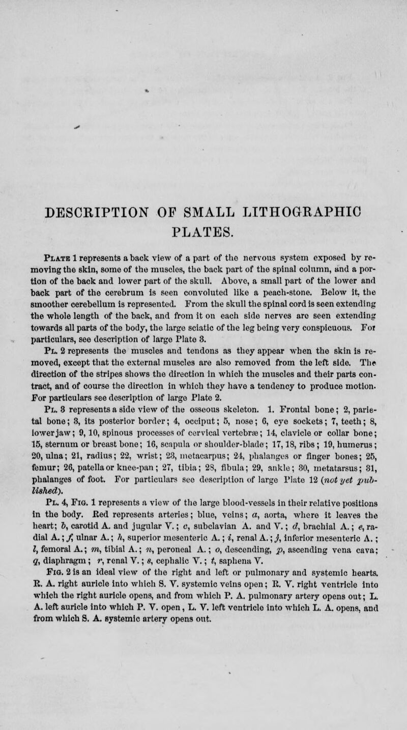 DESCRIPTION OF SMALL LITHOGRAPHIC PLATES. Pla.tb 1 represents a back view of a part of the nervous system exposed by re- moving th6 skin, some of the muscles, the back part of the spinal column, and a por- tion of the back and lower part of the skull. Above, a small part of the lower and back part of the cerebrum is seen convoluted like a peach-stone. Below it. the smoother cerebellum is represented. From the skull the spinal cord is seen extending the whole length of the back, and from it on each side nerves are seen extending towards all parts of the body, the large sciatic of the leg being very conspicuous. For particulars, see description of largo Plato 3. Pl. 2 represents the muscles and tendons as they appear when the skin is re- moved, except that the external muscles are also removed from the left side. The direction of the stripes shows the direction in which the muscles and their parts con- tract, and of course the direction in which they have a tendency to produce motion. For particulars see description of largo Plate 2. Pl. 3 represents a side view of the osseous skeleton. 1. Frontal bone; 2, parie- tal bone; 3, its posterior border; 4, occiput; 5, nose; 6, eye sockets; 7, teeth; 8, lower jaw; 9,10, spinous processes of cervical vertebrse; 14, clavicle or collar bone; 15, sternum or breast bone; 1G, scapula or shoulder-blade; 17,18, ribs ; 19, humerus ; 20, ulna; 21, radius; 22. wrist; 23, metacarpus; 24, phalanges or finger bones; 25, femur; 26, patella or knee-pan; 27, tibia; 28, fibula; 29, ankle; 30, metatarsus; 81, phalanges of foot. For particulars see description of large Plate 12 (not yet pub- lished). Pl. 4, Fig. 1 represents a view of the large blood-vessels in their relative positions in the body. Red represents arteries; blue, veins; a, aorta, where it leaves the heart; 6, carotid A. and jugular V.; 0, subclavian A. and V.; d, brachial A.; e, ra- dial A.; f, ulnar A.; h, superior mesenteric A.; i, renal A.; j, inferior mesenteric A.; I, femoral A.; m, tibial A.; «,, peroneal A.; o, descending, p, ascending vena cava: q, diaphragm; r, renal V.; s, cephalic V.; t, saphenu V. Fig. 2 is an ideal view of the right and left or pulmonary and systemic hearts. R. A. right auricle into which S. V. systemic veins open; E. V. right ventricle into which the right auricle opens, and from which P. A. pulmonary artery opens out; L. A. left auricle into which P. V. open, L. V. left ventricle into which L. A. opens, and from which 8. A. systemic artery opens out.