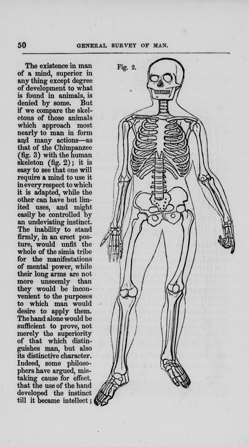 The existence in man of a mind, superior in any thing except degree of development to what is found in animals, is denied hy some. But if we compare the skel- etons of those animals which approach most nearly to man in form and many actions—as that of the Chimpanzee (fig. 3) with the human skeleton (fig. 2); it is easy to see that one will require a mind to use it in every respect to which it is adapted, while the other can have hut lim- ited uses, and might easily be controlled by an undeviating instinct. The inability to stand firmly, in an erect pos- ture, would unfit the whole of the simia tribe for the manifestations of mental power, while their long arms are not more unseemly than they would be incon- venient to the purposes to which man would desire to apply them. The hand alone would be sufficient to prove, not merely the superiority of that which distin- guishes man, but also its distinctive character. Indeed, some philoso- phers have argued, mis- taking cause for effect, that the use of the hand developed the instinct till it became intellect;