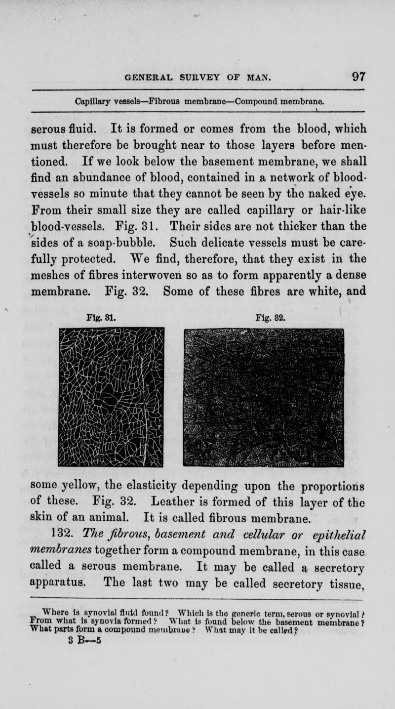 Capillary vessels—Fibrous membrane—Compound membrane. _^^^_^_______^_^_________^^^^^^_^_ i serous fluid. It is formed or comes from the blood, which must therefore be brought near to those layers before men- tioned. If we look below the basement membrane, we shall find an abundance of blood, contained in a network of blood- vessels so minute that they cannot be seen by the naked eye. From their small size they are called capillary or hair-like blood-vessels. Fig. 31. Their sides are not thicker than the sides of a soap-bubble. Such delicate vessels must be care- fully protected. We find, therefore, that they exist in the meshes of fibres interwoven so as to form apparently a dense membrane. Fig. 32. Some of these fibres are white, and Fi(?.81 some yellow, the elasticity depending upon the proportions of these. Fig. 32. Leather is formed of this layer of the skin of an animal. It is called fibrous membrane. 132. The fibrous, basement and cellular or epithelial membranes together form a compound membrane, in this case called a serous membrane. It may be called a secretory apparatus. The last two may be called secretory tissue, Where is synovial fluid found? Which is the generic term,serous or synovial i From what is synovia formed ? What is found below the basement membrane? What parts form a compound memtarani ? What mav it be called ? 8 B—5