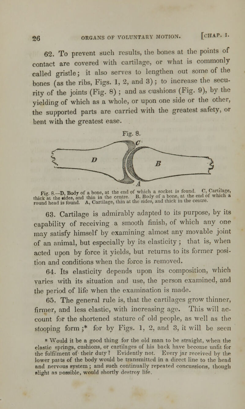 62. To prevent such results, the bones at the pouits of contact are covered with cartilage, or what is commonly called gristle; it also serves to lengthen out some of the bones (as the ribs, Figs. 1, 2, and 3); to increase the secu- rity of the joints (Fig. 8) ; and as cushions (Fig. 9), by the yielding of which as a whole, or upon one side or the other, the supported parts are carried with the greatest safety, or bent with the greatest ease. Fig. 8. Fi-' 8 —D, Body of a bone, at the end of which a socket is found. C, Cartilage, thick at the iides, and thin in the centre. B. Body of a bone, at the end of which a round head ia found. A, Cartilage, thin at the sides, and thick m the centre. 63. Cartilage is admirably adapted to its purpose, by its capability of receiving a smooth finish, of which any one may satisfy himself by examining almost any movable joint of an animal, but especially by its elasticity ; that is, when acted upon by force it yields, but returns to its former posi- tion and conditions when the force is removed. 64. Its elasticity depends upon its composition, which varies with its situation and use, the person examined, and the period of life when the examination is made. 65. The general rule is, that the cartilages grow thinner, firmer, and less elastic, with increasing age. This will ac- count for the shortened stature of old people, as well as the stooping form ;* for by Figs. 1, 2, and 3, it will be seen * Would it be a good thing for the old man to be .straight, when the elastic springs, cushions, or cartilages of his back have become unfit for the fulfilment of their duty? Evidently not. Every jar received by the lower paits of the body would be transmitted in a direct line to the head and nervous system ; and such continually repeated concussions, though slight as possible, would shortly destroy life.