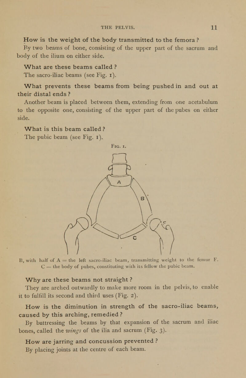 How is the weight of the body transmitted to the femora ? By two beams of bone, consisting of the upper part of the sacrum and body of the ilium on either side. What are these beams called ? The sacro-iliac beams (see Fig. i). What prevents these beams from being pushed in and out at their distal ends ? Another beam is placed between them, extending from one acetabulum to the opposite one, consisting of the upper part of the pubes on either side. What is this beam called? The pubic beam (see Fig. i). B, with half of A = the left sacro-iliac heam, transmitting weight to the femur K. C = the hody of pubes, constituting with its fellow the pubic beam. Why are these beams not straight ? They are arched outwardly to make more room in the pelvis, to enable it to fulfill its second and third uses (Fig. 2). How is the diminution in strength of the sacro-iliac beams, caused by this arching, remedied ? By buttressing the beams by that expansion of the sacrum and iliac bones, called the wings of the ilia and sacrum (Fig. 3). How are jarring and concussion prevented ? By placing joints at the centre of each beam. Fig. 1.