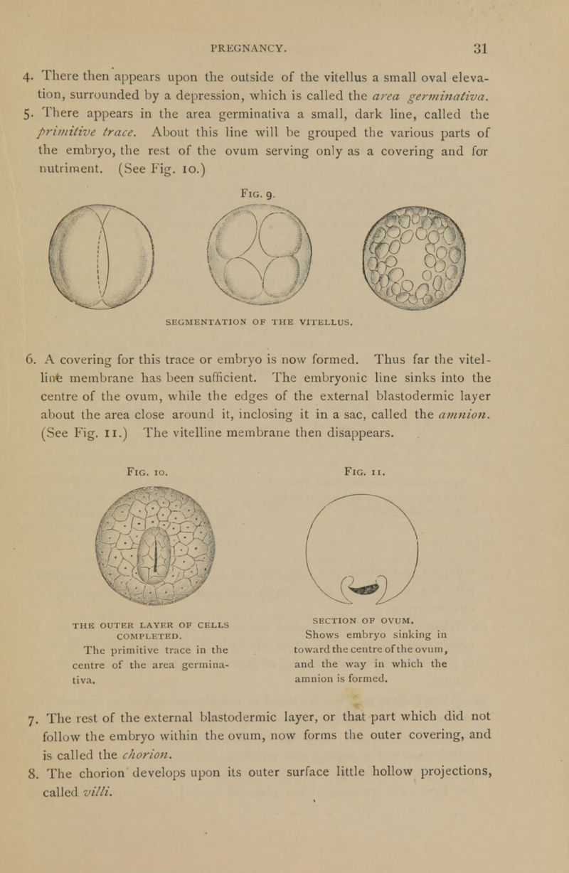 4. There then appears upon the outside of the vitellus a small oval eleva- tion, surrounded by a depression, which is called the area germinativa. 5. There appears in the area germinativa a small, dark line, called the primitive trace. About this line will be grouped the various parts of the embryo, the rest of the ovum serving only as a covering and for nutriment. (See Fig. 10.) Fig. 9. SEGMENTATION OF THE VITELLUS. 6. A covering for this trace or embryo is now formed. Thus far the vitel- line membrane has been sufficient. The embryonic line sinks into the centre of the ovum, while the edges of the external blastodermic layer about the area close around it, inclosing it in a sac, called the amnion. (See Fig. II.) The vitelline membrane then disappears. Fig. 10. THE OUTER LAYER OF CELLS COMPLETED. The primitive trace in the centre of the area germina- tiva. Fig. 11. SECTION OF OVUM. Shows embryo sinking in toward the centre of the ovum, anil the way in which the amnion is formed. 7. The rest of the external blastodermic layer, or that part which did not follow the embryo within the ovum, now forms the outer covering, and is called the chorion. 8. The chorion develops upon its outer surface little hollow projections, called villi.