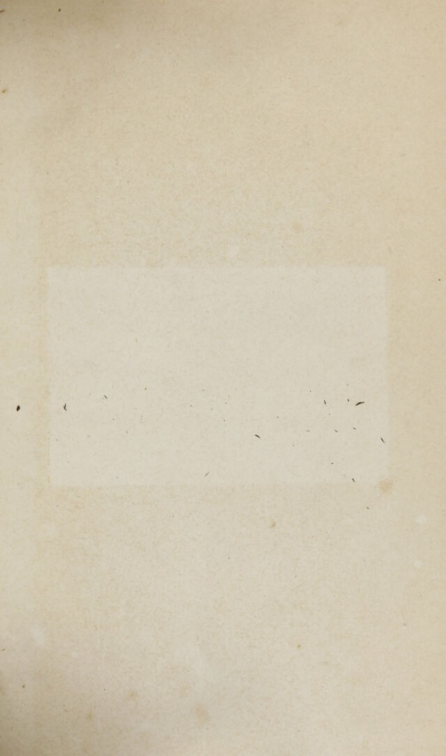 digitised image 3