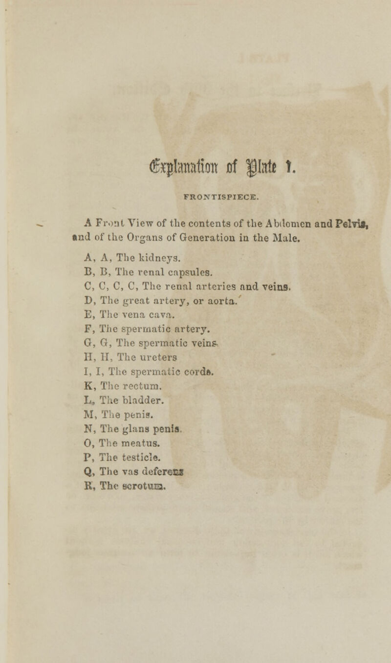 (Explanation of flat! t. FRONTISPIECE. A Front View of the contents of the Abdomen and Pelvis, •nd of the Organs of Generation in the Male. A, A, The kidneys. B, B, The renal capsules. C, C, C, C, The renal arteries and veins. D, The great artery, or aorta. E, The vena cava. F, The spermatic artery. G, G, The spermatic veins- H, IT, The ureters I, I, The spermatic cordft. K, The rectum. L. The bladder. M, The penis. N, The glans penis. 0, The meatus. P, The testicle. Q, The vas defereci R, The scrotum.