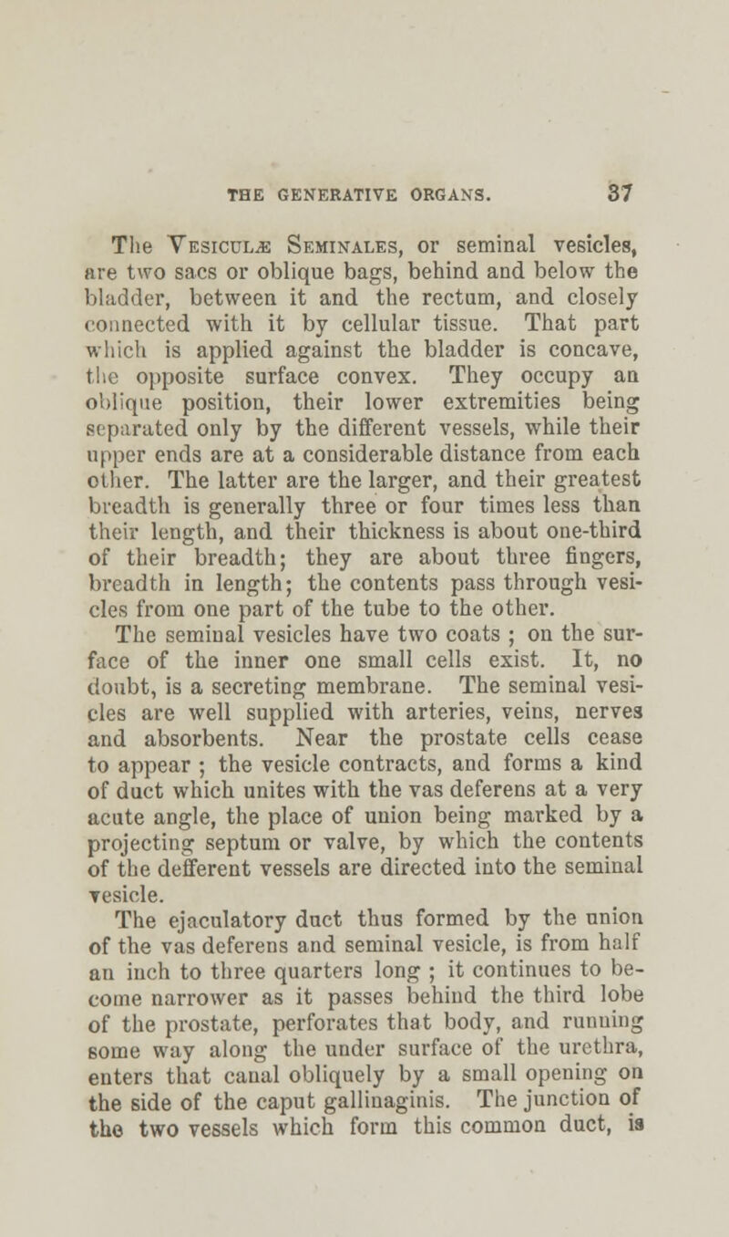 The Vesicul^e Seminales, or seminal vesicles, are two sacs or oblique bags, behind and below the bladder, between it and the rectum, and closely connected with it by cellular tissue. That part which is applied against the bladder is concave, the opposite surface convex. They occupy an ol)lique position, their lower extremities being separated only by the different vessels, while their upper ends are at a considerable distance from each other. The latter are the larger, and their greatest breadth is generally three or four times less than their length, and their thickness is about one-third of their breadth; they are about three fingers, breadth in length; the contents pass through vesi- cles from one part of the tube to the other. The seminal vesicles have two coats ; on the sur- face of the inner one small cells exist. It, no doubt, is a secreting membrane. The seminal vesi- cles are well supplied with arteries, veins, nerves and absorbents. Near the prostate cells cease to appear ; the vesicle contracts, and forms a kind of duct which unites with the vas deferens at a very acute angle, the place of union being marked by a projecting septum or valve, by which the contents of the defferent vessels are directed into the seminal vesicle. The ejaculatory duct thus formed by the union of the vas deferens and seminal vesicle, is from half an inch to three quarters long ; it continues to be- come narrower as it passes behind the third lobe of the prostate, perforates that body, and running some way along the under surface of the urethra, enters that canal obliquely by a small opening on the side of the caput gallinaginis. The junction of the two vessels which form this common duct, is