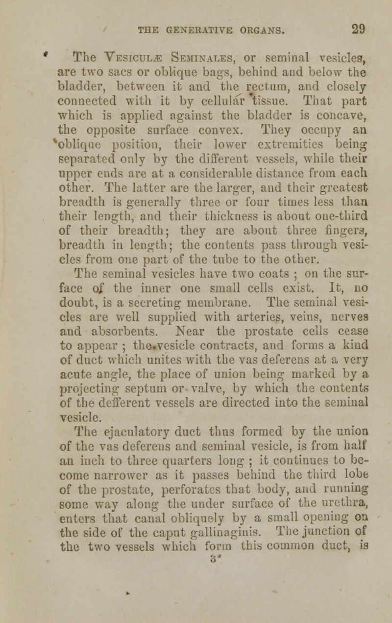 The Vesicul^e Seiiinales, or seminal vesicles, are two sacs or oblique bags, behind and below the bladder, between it and the rectum, and closely connected with it by cellular tissue. That part which is applied against the bladder is concave, the opposite surface convex. They occupy an *oblique position, their lower extremities being separated only by the different vessels, while their upper ends arc at a considerable distance from each other. The latter are the larger, and their greatest breadth is generally three or four times less than their length, and their thickness is about one-third of their breadth; they are about three fingers, breadth in length; the contents pass through vesi- cles from one part of the tube to the other. The seminal vesicles have two coats ; on the sur- face of the inner one small cells exist. It, no doubt, is a secreting membrane. The seminal vesi- cles are well supplied with arteries, veins, nerves and absorbents. Near the prostate cells cease to appear ; the.vcsicle contracts, and forms a kind of duct which unites with the vas deferens at a very acute angle, the place of union being marked by a projecting septum or valve, by which the contents of the defferent vessels are directed into the seminal vesicle. The ejaculatory duct thus formed by the union of the vas deferens and seminal vesicle, is from half an inch to three quarters long ; it continues to be- come narrower as it passes behind the third lobe of the prostate, perforates that body, and running some way along the under surface of the urethra, enters that canal obliquely by a small opening on the side of the caput gallinaginis. The junction of the two vessels which form this common duct, is