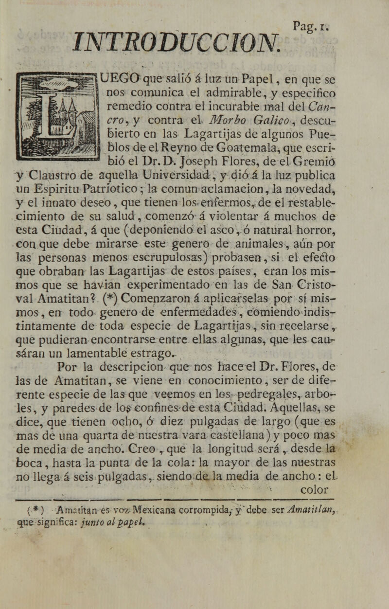 Pag.r. _UEGO que salió á luz un Papel, en que se nos comunica el admirable, y especifico remedio contra el incurable mal del Can- cro^ y contra el- Morbo Gálico^ descu- bierto en las Lagartijas de algunos Pue- blos de el Reyno de Goatemala, que escri- bió el Dr. D. Joseph Flores, de el Gremio y Claustro de aquella Universidad, y dió á la luz publica un Espíritu Patriótico; la común aclamación, la novedad, y el innato deseo, que tienen los enfermos,de el restable- cimiento de su salud, comenzó á violentar á muchos de esta Ciudad, á que (deponiendo el asco, ó natural horror, conque debe mirarse este genero de animales, aún por las personas menos escrupulosas) probasen, si el efecto que obraban las Lagartijas de estos países, eran los mis- mos que se havian experimentado en las de San Cristo- val Amatitan? (*) Comenzaron á aplicárselas por sí mis- mos, en todo genero de enfermedades, comiendo indis- tintamente de toda especie de Lagartijas, sin recelarse, que pudieran encontrarse entre ellas algunas, que les caur- sáran un lamentable estrago. Por la descripción que nos hace el Dr. Flores, de las de Amatitan, se viene en conocimiento, ser de dife- rente especie de las que veemos en los pedregales, arbo- les, y paredes de los confines-de esta Ciudad. Aquellas, se dice, que tienen ocho, ó diez pulgadas de largo (que es mas de una quarta de nuestra vara castellana) y poco mas de media de ancho. Creo , que la longitud será , desde la boca, hasta la punta de la cola: la mayor de las nuestras no llega á seis pulgadas,.siendo déla media de ancho: eL color ( *) Amatitan 65 voz-Mexicana corrompida,- y debe ser Amatulsm, que significa: junto al¿apel.