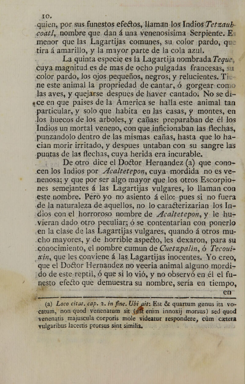 quien, por sus funestos efedos, llamíin los Indios Tetzauh coatl^ nombre que dan á una venenosísima Serpiente. E menor que las Lagartijas comunes, su color pardo, que tira á amarillo, y la mayor parte de la cola azul. La quinta especie es la Lagartija nombrada Teque, cuya magnitud es de mas de ocho pulgadas francesas, su color pardo, los ojos pequeños, negros, y relucientes. Tie - ne este animal la propriedad de cantar, ó gorgear como las aves, y quejarse después de haver cantado. No se di- ^ce en que paises de la America se halla este animal tan particular, y solo que habita en las casas, y montes, en los huecos de los arboles, y canas: preparaban de él los Indios un mortal veneno, con que inficionaban las flechas, punzándolo dentro de las mismas canas, hasta que lo ha- cían morir irritado, y después untaban con su sangre las puntas de las flechas, cuya herida era incurable. De otro dice el Doélor Hernández (a) que cono- cen los Indios por Acaltetepon^ cuya mordida no es ve- nenosa; y que por ser algo mayor que los otros Escorpio- nes semejantes á las Lagartijas vulgares, lo llaman con este nombre. Péró yo no asiento á ello: pues si no fuera de la naturaleza de aquellos, no lo cara(5lerizarian los In- dios con el horroroso nombre de Acaltetepon^ y le hu- vieran dado otro peculiar; ó se contentarían con ponerlo en la clase de las Lagartijas vulgares, quando á otros mu- cho mayores, y de horrible aspeólo, les dexaron, para su conocimiento, el nombre cumun de Cuetzpalin^ ó Tecoui^ ccin^ que les conviene á las Lagartijas inocentes. Yo creo, que el Dodor Hernández no veeria animal alguno mordi- do de este reptil, ó que si lo vió, y no observó en él el fu- nesto efeélo que demuestra su nombre, sería en tiempo, en (a) Loco citat. cap, in fine. Ubiaif. Est & quartum genus ¡ta vo- catum, non quod venenatum sit (,¿5 enim innoxij morsus) sed quod venenatis majuscula corporis mole videatur respóndete, cúm estera vulgaribus lacectis pcorsus sint simitia.