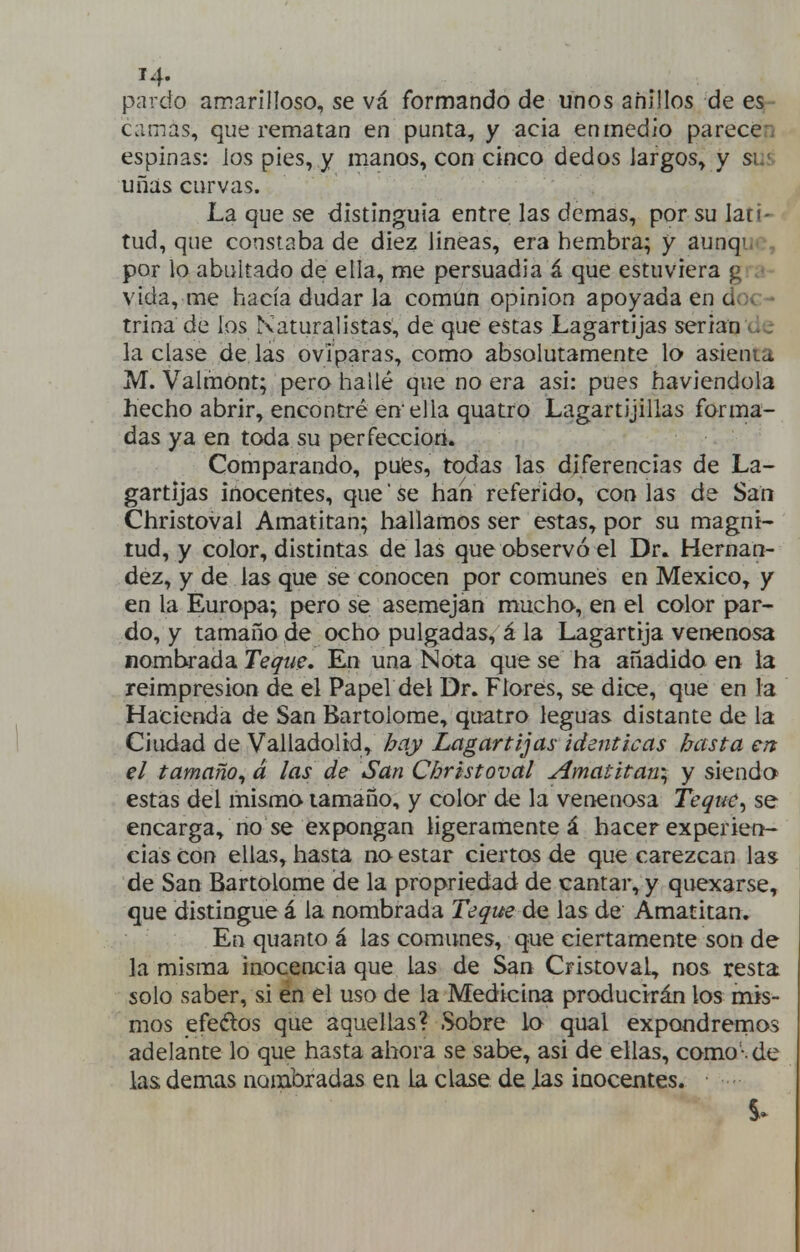 pardo amarilloso, se vá formando de unos anillos de es- camas, que rematan en punta, y acia en medio parecen espinas: los pies, y manos, con cinco dedos largos, y sus uñas curvas. La que se distinguía entre las demás, por su lati- tud, que constaba de diez lineas, era hembra; y aunque, por lo abultado de ella, me persuadía á que estuviera grá- vida, me hacía dudar la común opinión apoyada en doc- trina de ios Naturalistas, de que estas Lagartijas serian de laclase délas ovíparas, como absolutamente lo asienta M. Valmont; pero hallé que no era asi: pues haviendola hecho abrir, encontré en ella quatro Lagartijillas forma- das ya en toda su perfección. Comparando, puies, todas las diferencias de La- gartijas inocentes, que' se han referido, con las de San Christoval Amatitan; hallamos ser estas, por su magni- tud, y color, distintas de las que observó el Dr. Hernán- dez, y de las que se conocen por comunes en México, y en la Europa; pero se asemejan mucha, en el color par- do, y tamaño de ocho pulgadas, á la Lagartija venenosa nombrada Teque, En una Nota que se ha añadida en la reimpresión de el Papel del Dr. Fiares, se dice, que en la Hacienda de San Bartolomé, quatro leguas distante de la Ciudad de Valladoltd, hay Lagartijas idénticas basta en el tamaño^ á las; de San Christoval Amatitan-^ y siendo estas del misma tamaño, y colar de la venenosa Teque, se encarga, no se expongan ligeramente á hacer experien- cias con ellas, hasta no estar ciertas de que carezcan las de San Bartolomé de la propriedad de cantar, y quexarse^ que distingue á la nombrada Teque de las de Amatitan. En quanto á las comunes, que ciertamente son de la misma inocencia que las de San Cristoval, nos resta solo saber, si en el uso de la Medicina producirán los mis- mos efeétos que aquellas? Sobre lo qual expondrernos adelante lo que hasta ahora se sabe, asi de ellas, como- de las demás nombradas en la clase de las inocentes.