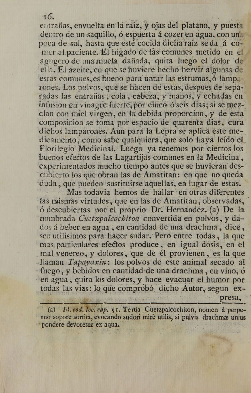 eijtranas, envuelta en la raíz, y ojás del plátano, y puests deiitro de un saquillo, ó espuerta á cozer en agua, con uri.. peca de «al, hasta que esté cocida dicKa raíz se da á co- n.cr ai paciente. Ei hígado de láír comunes metido en eí agugero de una muela dafiada, quita luego el dolor de ella. El aceite,en que sehuviere hecho hervir algunas de estas comunes,es bueno para untar las estrumas,ó lamp. iK)nes. Los polvos, que se hacen de estas, después de sepa- radas las enírauas, cola, cabeza, y manos, y echadas en infusión en vinagre fuerte-ipor cinco ó seis dias; si se mez- clan con miel virgen, en la debida proporción, y de esta, composición se toma por espacio de quarenta dias, cura dichos lamparones. Aun para la Lepra se aplica este me-. dicamcnto, como sabe qualquiera, que solo haya leído el, Florilegio Medicinal. Luego ya tenemos por ciertos los buenos efed:os de las Lagartijas comunes en la Medicina, experimentados mucho tiempo antes que se huvieran des- cubierto los que obran las de Amatitan: en que no queda duda, que pueden sustituirse aquellas, en lugar de estas. Mas todavía hemos de hallar en otras diferentes las mismas- virtudes, que en las de Amatitan, observadas, ó descubiertas por el proprio Dr. Hernández, (a) De la nombrada Cuetzpalcochiton convertida en polvos, y da- dos á beber en agua , en cantidad de una drachma, dice, sen utilisimos para hacer sudar. Pero entre todas , la que mas particulares efeétos produce, en igual dosis, en el mal venéreo, y dolores, que de él provienen, es la que llaman Tapayaxin: los polvos de este animal secado al fuego, y bebidos en cantidad de una drachma, en vino, ó en agua, quita los dolores, y hace evacuar el humor por todas las vias: lo que comprobó, dicho Autor, según ex- presa, (a) Id.eod. loe. cap. 51. Tertia Cuetzpalcochiton, nomen á perpe- tuo sopore sortita, evocando sudori miré utilis, si pulvis drachmae uníus pondere devoretur ex aqua.