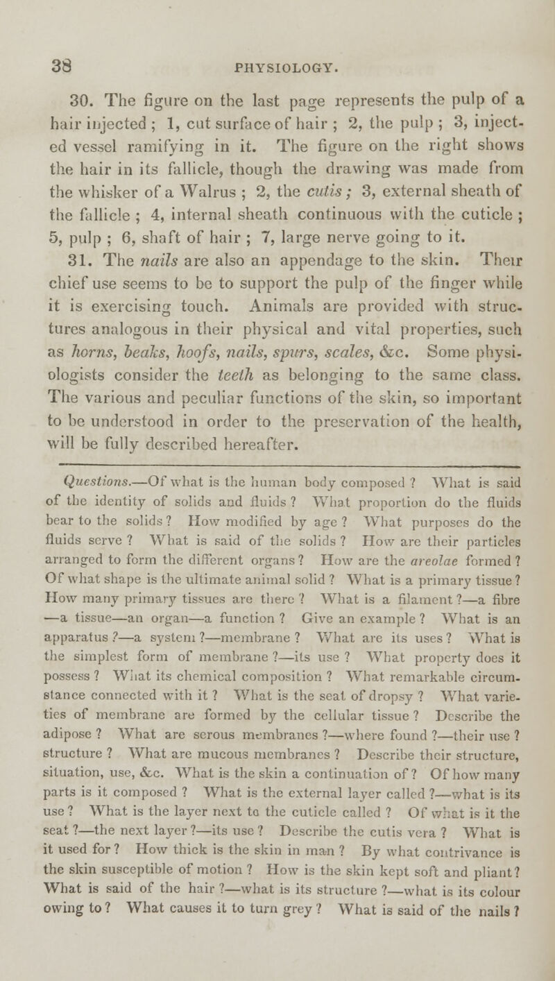 30. The figure on the last page represents the pulp of a hair injected ; 1, cut surface of hair ; 2, the pulp ; 3, inject- ed vessel ramifying in it. The figure on the right shows the hair in its fallicle, though the drawing was made from the whisker of a Walrus ; 2, the cutis; 3, external sheath of the fallicle ; 4, internal sheath continuous with the cuticle ; 5, pulp ; 6, shaft of hair ; 7, large nerve going to it. 31. The nails are also an appendage to the skin. Their chief use seems to be to support the pulp of the finger while it is exercising touch. Animals are provided with struc- tures analogous in their physical and vital properties, such as horns, beaks, hoofs, nails, spurs, scales, &,c. Some physi- ologists consider the teeth as belonging to the same class. The various and peculiar functions of the skin, so important to be understood in order to the preservation of the health, will be fully described hereafter. Questions.—Of what is the human body composed ? What is said of the identity of solids and fluids ? What proportion do the fluids bear to the solids ? How modified by age ? What purposes do the fluids serve ? What is said of the solids ? How are their particles arranged to form the different organs ? How are the areolae formed ? Of what shape is the ultimate animal solid ? What is a primary tissue ? How many primary tissues are there ? What is a filament ?—a fibre —a tissue—an organ—a function ? Give an example ? What is an apparatus ?—a system ?—membrane ? What are its uses ? What is the simplest form of membrane ?—its use ? What property does it possess ? What its chemical composition ? What remarkable circum- stance connected with it ? What is the seat of dropsy ? What varie- ties of membrane are formed by the cellular tissue ? Describe the adipose ? What are serous membranes ?—where found ?—their use ? structure ? What are mucous membranes ? Describe their structure, situation, use, &c. What is the skin a continuation of? Of how many parts is it composed ? What is the external layer called ?—what is its use ? What is the layer next to the cuticle called ? Of what is it the seat ?—the next layer ?—its use ? Describe the cutis vera ? What is it used for? How thick is the skin in man ? By what contrivance is the skin susceptible of motion ? How is the skin kept soft and pliant? What is said of the hair ?—what is its structure ?—what is its colour owing to ? What causes it to turn grey ? What is said of the nails ?