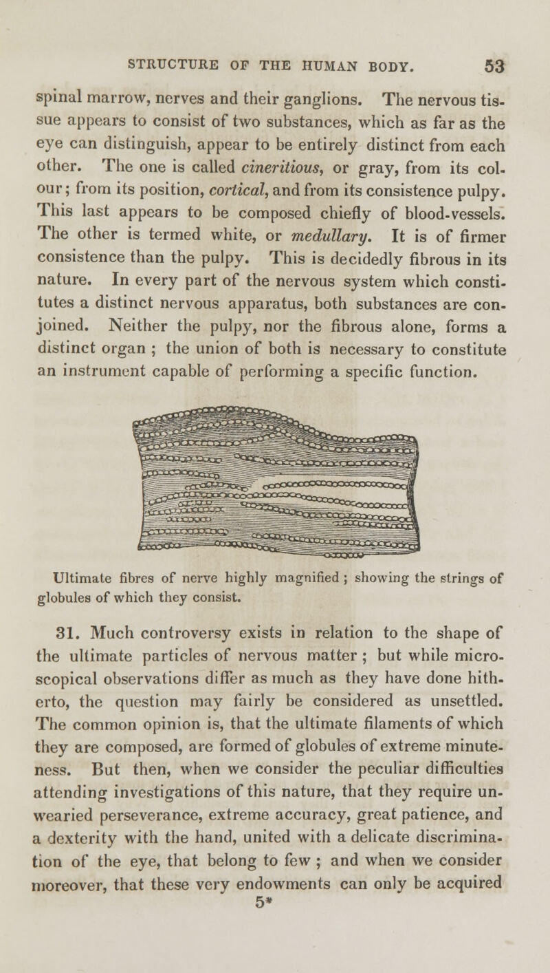 spinal marrow, nerves and their ganglions. The nervous tis- sue appears to consist of two substances, which as far as the eye can distinguish, appear to be entirely distinct from each other. The one is called cineritious, or gray, from its col- our; from its position, cortical, and from its consistence pulpy. This last appears to be composed chiefly of blood-vessels. The other is termed white, or medullary. It is of firmer consistence than the pulpy. This is decidedly fibrous in its nature. In every part of the nervous system which consti- tutes a distinct nervous apparatus, both substances are con- joined. Neither the pulpy, nor the fibrous alone, forms a distinct organ ; the union of both is necessary to constitute an instrument capable of performing a specific function. Ultimate fibres of nerve highly magnified ; showing the strings of globules of which they consist. 31. Much controversy exists in relation to the shape of the ultimate particles of nervous matter; but while micro- scopical observations differ as much as they have done hith- erto, the question may fairly be considered as unsettled. The common opinion is, that the ultimate filaments of which they are composed, are formed of globules of extreme minute- ness. But then, when we consider the peculiar difficulties attending investigations of this nature, that they require un- wearied perseverance, extreme accuracy, great patience, and a dexterity with the hand, united with a delicate discrimina- tion of the eye, that belong to few ; and when we consider moreover, that these very endowments can only be acquired 5*