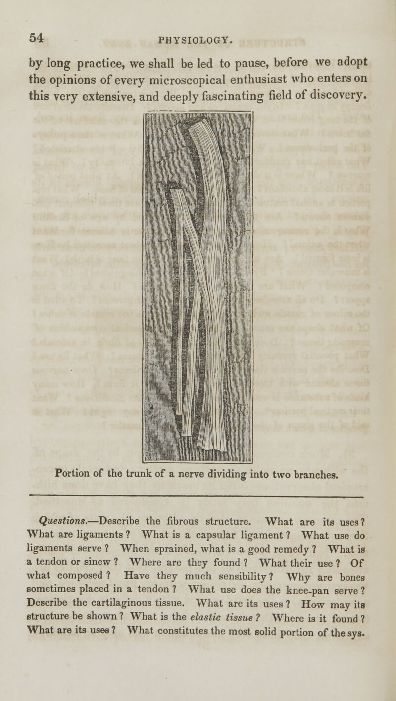 by long practice, we shall be led to pause, before we adopt the opinions of every microscopical enthusiast who enters on this very extensive, and deeply fascinating field of discovery. Portion of the trunk of a nerve dividing into two branches. Questions.—Describe the fibrous structure. What are its uses? What are ligaments ? What is a capsular ligament ? What use do ligaments serve ? When sprained, what is a good remedy ? What is a tendon or sinew ? Where are they found ? What their use ? Of what composed ? Have they much sensibility ? Why are bones sometimes placed in a tendon ? What use does the knee-pan serve ? Describe the cartilaginous tissue. What are its uses ? How may its structure be shown ? What is the elastic tissue ? Where is it found ? What are its uses ? What constitutes the most solid portion of the sys.