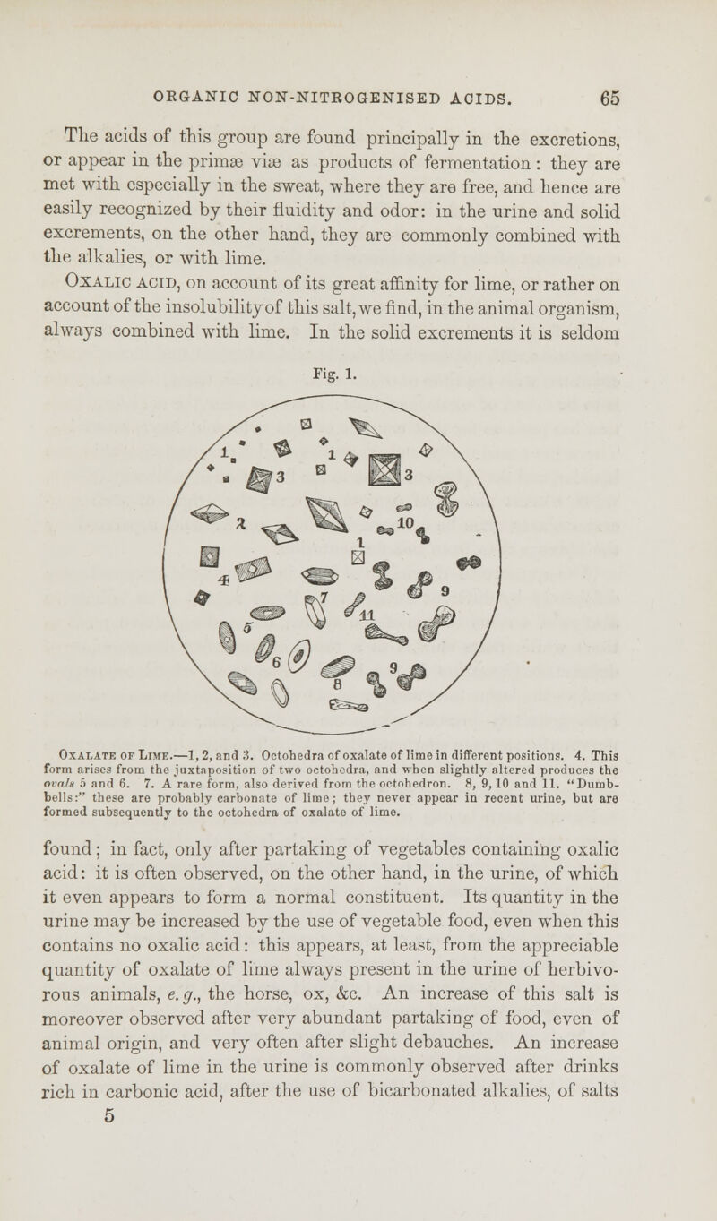 The acids of this group are found principally in the excretions, or appear in the primse vise as products of fermentation : they are met with especially in the sweat, where they are free, and hence are easily recognized by their fluidity and odor: in the urine and solid excrements, on the other hand, they are commonly combined with the alkalies, or with lime. Oxalic acid, on account of its great affinity for lime, or rather on account of the insolubility of this salt, we find, in the animal organism, always combined with lime. In the solid excrements it is seldom Fig. l. Oxalate of Lime.—1,2, and 3. Octohedraof oxalate of lime in different positions. 4. This form arises from the juxtaposition of two octohedra, and when slightly altered produces the ovals 5 and 6. 7. A rare form, also derived from the octohedron. 8, 9,10 and 11. Dumb- bells: these are probably carbonate of lime; they never appear in recent urine, but are formed subsequently to the octohedra of oxalate of lime. found; in fact, only after partaking of vegetables containing oxalic acid: it is often observed, on the other hand, in the urine, of which it even appears to form a normal constituent. Its quantity in the urine may be increased by the use of vegetable food, even when this contains no oxalic acid: this appears, at least, from the appreciable quantity of oxalate of lime always present in the urine of herbivo- rous animals, e.g., the horse, ox, &c. An increase of this salt is moreover observed after very abundant partaking of food, even of animal origin, and very often after slight debauches. An increase of oxalate of lime in the urine is commonly observed after drinks rich in carbonic acid, after the use of bicarbonated alkalies, of salts 5