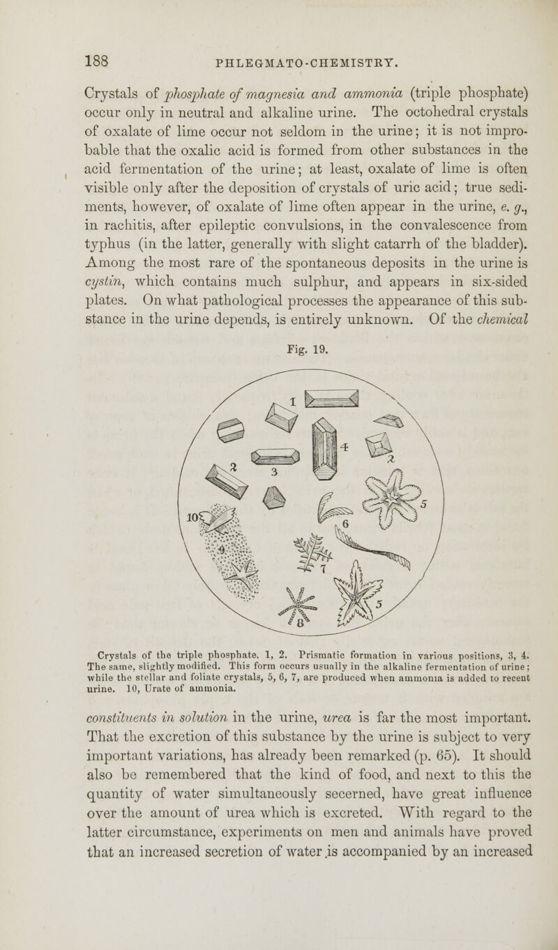Crystals of. phosphate of magnesia and ammonia (triple phosphate) occur only in neutral and alkaline urine. The octohedral crystals of oxalate of lime occur not seldom in the urine; it is not impro- bable that the oxalic acid is formed from other substances in the acid fermentation of the urine; at least, oxalate of lime is often visible only after the deposition of crystals of uric acid; true sedi- ments, however, of oxalate of Hme often appear in the urine, e. g., in rachitis, after epileptic convulsions, in the convalescence from typhus (in the latter, generally with slight catarrh of the bladder). Among the most rare of the spontaneous deposits in the urine is cystin, which contains much sulphur, and appears in six-sided plates. On what pathological processes the appearance of this sub- stance in the urine depends, is entirely unknown. Of the chemical Fig. 19. Crystals of the triple phosphate, 1, 2. Prismatic formation in various positions, 3, 4. The same, slightly modified. This form occurs usually in the alkaline fermentation of urine ; while the stellar and foliate crystals, 5, 6, 7, are produced when ammonia is added to recent urine. 10, Urate of ammonia. constituents in solution in the urine, urea is far the most important. That the excretion of this substance by the urine is subject to very important variations, has already been remarked (p. 65). It should also be remembered that the kind of food, and next to this the quantity of water simultaneously secerned, have great influence over the amount of urea which is excreted. With regard to the latter circumstance, experiments on men and animals have proved that an increased secretion of water .is accompanied by an increased
