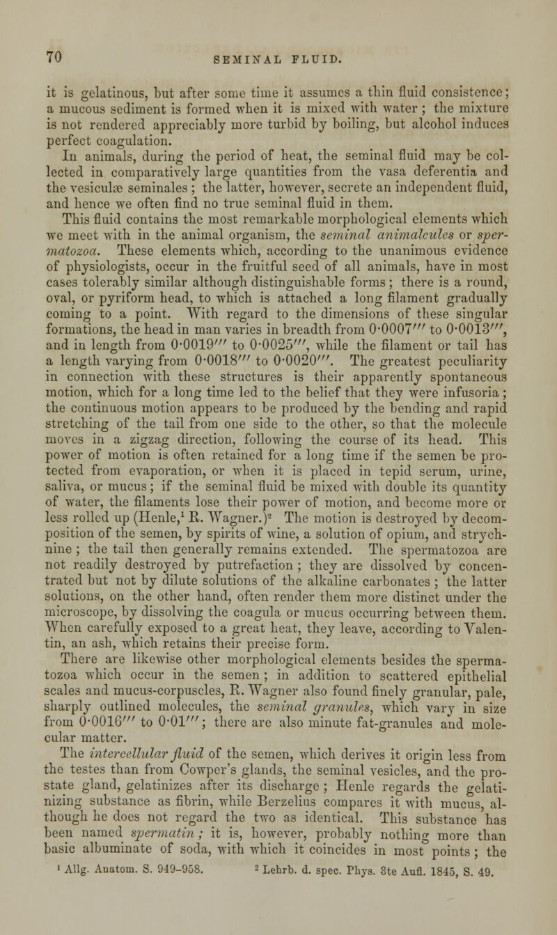 it is gelatinous, but after some time it assumes a thin fluid consistence; a mucous sediment is formed when it is mixed with water ; the mixture is not rendered appreciably more turbid by boiling, but alcohol induces perfect coagulation. In animals, during the period of heat, the seminal fluid may be col- lected in comparatively large quantities from the vasa dcferentia and the vesicuke seminales ; the latter, however, secrete an independent fluid, and hence we often find no true seminal fluid in them. This fluid contains the most remarkable morphological elements which we meet with in the animal organism, the seminal animalcules or sper- matozoa. These elements which, according to the unanimous evidence of physiologists, occur in the fruitful seed of all animals, have in most cases tolerably similar although distinguishable forms; there is a round, oval, or pyriform head, to which is attached a long filament gradually coming to a point. With regard to the dimensions of these singular formations, the head in man varies in breadth from 0-0007' to 0-0013', and in length from 0-0019' to 0-0025', while the filament or tail has a length varying from 0-0018' to 0-0020'. The greatest peculiarity in connection with these structures is their apparently spontaneous motion, which for a long time led to the belief that they were infusoria; the continuous motion appears to be produced by the bending and rapid stretching of the tail from one side to the other, so that the molecule moves in a zigzag direction, following the course of its head. This power of motion is often retained for a long time if the semen be pro- tected from evaporation, or when it is placed in tepid serum, urine, saliva, or mucus; if the seminal fluid be mixed with double its quantity of water, the filaments lose their power of motion, and become more or less rolled up (Henle,1 R. Wagner.)2 The motion is destroyed by decom- position of the semen, by spirits of wine, a solution of opium, and strych- nine ; the tail then generally remains extended. The spermatozoa are not readily destroyed by putrefaction ; they are dissolved by concen- trated but not by dilute solutions of the alkaline carbonates ; the latter solutions, on the other hand, often render them more distinct under the microscope, by dissolving the coagula or mucus occurring between them. When carefully exposed to a great heat, they leave, according to Valen- tin, an ash, which retains their precise form. There are likewise other morphological elements besides the sperma- tozoa which occur in the semen ; in addition to scattered epithelial scales and mucus-corpuscles, R. Wagner also found finely granular, pale, sharply outlined molecules, the seminal granules, which vary in size from 0-0016' to 0-01m; there are also minute fat-granules and mole- cular matter. The intercellular fluid of the semen, which derives it origin less from the testes than from Cowper's glands, the seminal vesicles, and the pro- state gland, gelatinizes after its discharge ; Henle regards the gelati- nizing substance as fibrin, while Berzelius compares it with mucus, al- though he does not regard the two as identical. This substance has been named spermatin ; it is, however, probably nothing more than basic albuminate of soda, with which it coincides in most points ; the ' Allg. Anatoni. S. 949-958. 2 Lehrb. d. spec. Phys. 3te Aufl. 1845, S. 49.