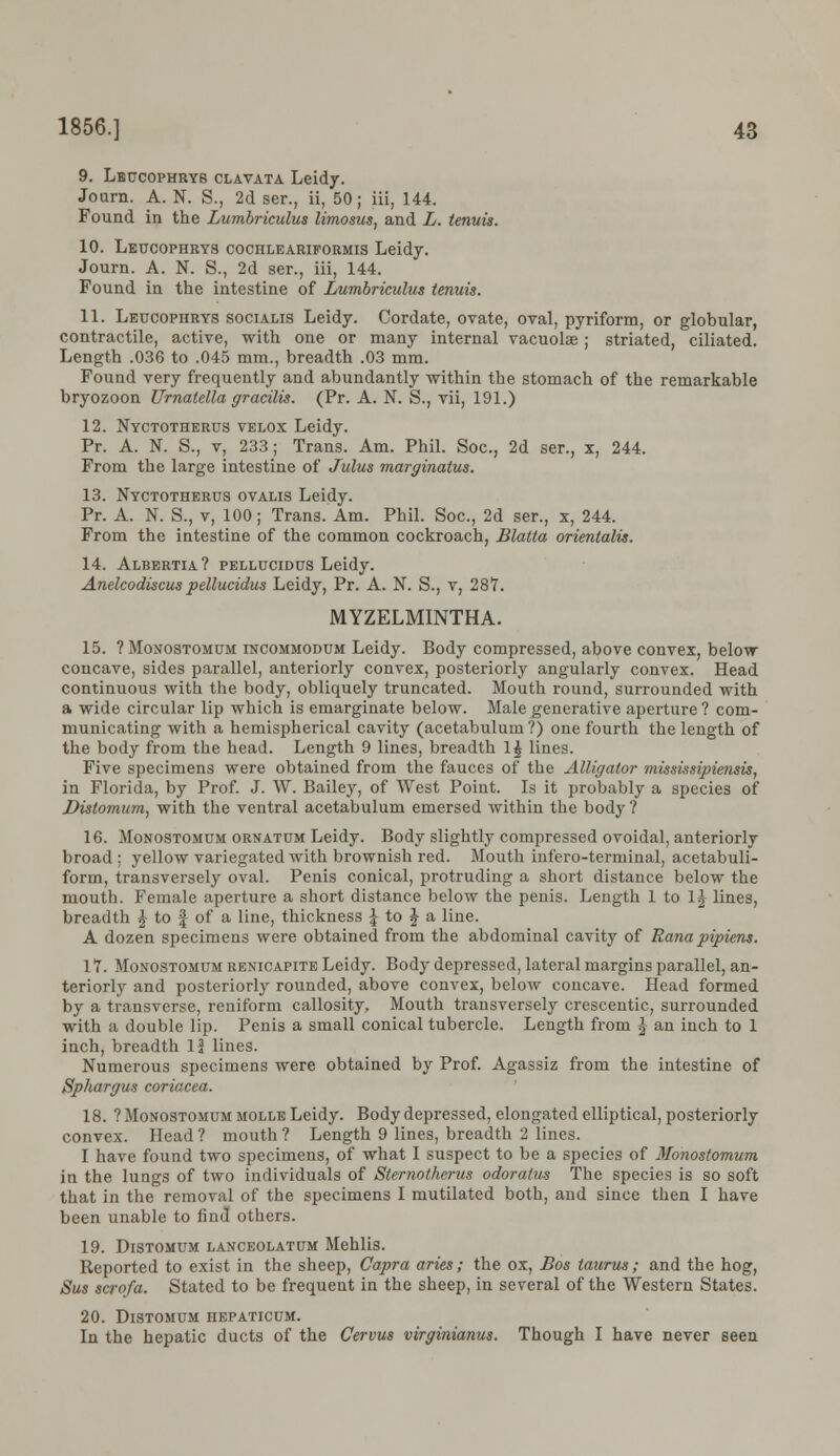 9. Lbucophryb clavata Leidy. Journ. A. N. S., 2d ser., ii, 50; iii, 144. Found in the Lumbriculus limosus, and L. tenuis. 10. Leucophrys cochleariformis Leidy. Journ. A. N. S., 2d ser., iii, 144. Found in the intestine of Lumbriculus tenuis. 11. Leucophrys socialis Leidy. Cordate, ovate, oval, pyriform, or globular, contractile, active, with one or many internal vacuole ; striated, ciliated. Length .036 to .045 mm., breadth .03 mm. Found very frequently and abundantly within the stomach of the remarkable bryozoon Urnatella gracilis. (Pr. A. N. S., vii, 191.) 12. Nyctotherus velox Leidy. Pr. A. N. S., v, 233; Trans. Am. Phil. Soc, 2d ser., x, 244. From the large intestine of Julus marginaius. 13. Nyctotherus ovalis Leidy. Pr. A. N. S., v, 100; Trans. Am. Phil. Soc, 2d ser., x, 244. From the intestine of the common cockroach, Blatta orientalis. 14. Albertia? pellucidus Leidy. Anelcodiscus pellucidus Leidy, Pr. A. N. S., v, 287. MYZELMINTHA. 15. ? Monostomum incommodum Leidy. Body compressed, above convex, below concave, sides parallel, anteriorly convex, posteriorly angularly convex. Head continuous with the body, obliquely truncated. Mouth round, surrounded with a wide circular lip which is emarginate below. Male generative aperture? com- municating with a hemispherical cavity (acetabulum ?) one fourth the length of the body from the head. Length 9 lines, breadth 1$ lines. Five specimens were obtained from the fauces of the Alligator mississipiensis, in Florida, by Prof. J. W. Bailey, of West Point. Is it probably a species of Distomum, with the ventral acetabulum emersed within the body ? 16. Monostomum ornatum Leidy. Body slightly compressed ovoidal, anteriorly broad ; yellow variegated with brownish red. Mouth infero-terminal, acetabuli- form, transversely oval. Penis conical, protruding a short distance below the mouth. Female aperture a short distance below the penis. Length 1 to 1£ lines, breadth J to f of a line, thickness £ to £ a line. A dozen specimens were obtained from the abdominal cavity of Rana pipiens. IT. Monostomum kenicapite Leidy. Body depressed, lateral margins parallel, an- teriorly and posteriorly rounded, above convex, below concave. Head formed by a transverse, reniform callosity. Mouth transversely crescentic, surrounded with a double lip. Penis a small conical tubercle. Length from | an inch to 1 inch, breadth 1| lines. Numerous specimens were obtained by Prof. Agassiz from the intestine of Sphargus coriacea. 18.? Monostomum molle Leidy. Body depressed, elongated elliptical, posteriorly convex. Head ? mouth ? Length 9 lines, breadth 2 lines. I have found two specimens, of what I suspect to be a species of Monostomum in the lungs of two individuals of Sternotherus odoratus The species is so soft that in the removal of the specimens I mutilated both, and since then I have been unable to find others. 19. Distomum lanceolatum Mehlis. Reported to exist in the sheep, Capra aries; the ox, Bos taurus; and the hog, Sus scrofa. Stated to be frequent in the sheep, in several of the Western States. 20. Distomum hepaticum. In the hepatic ducts of the Cervus virginianus. Though I have never seen