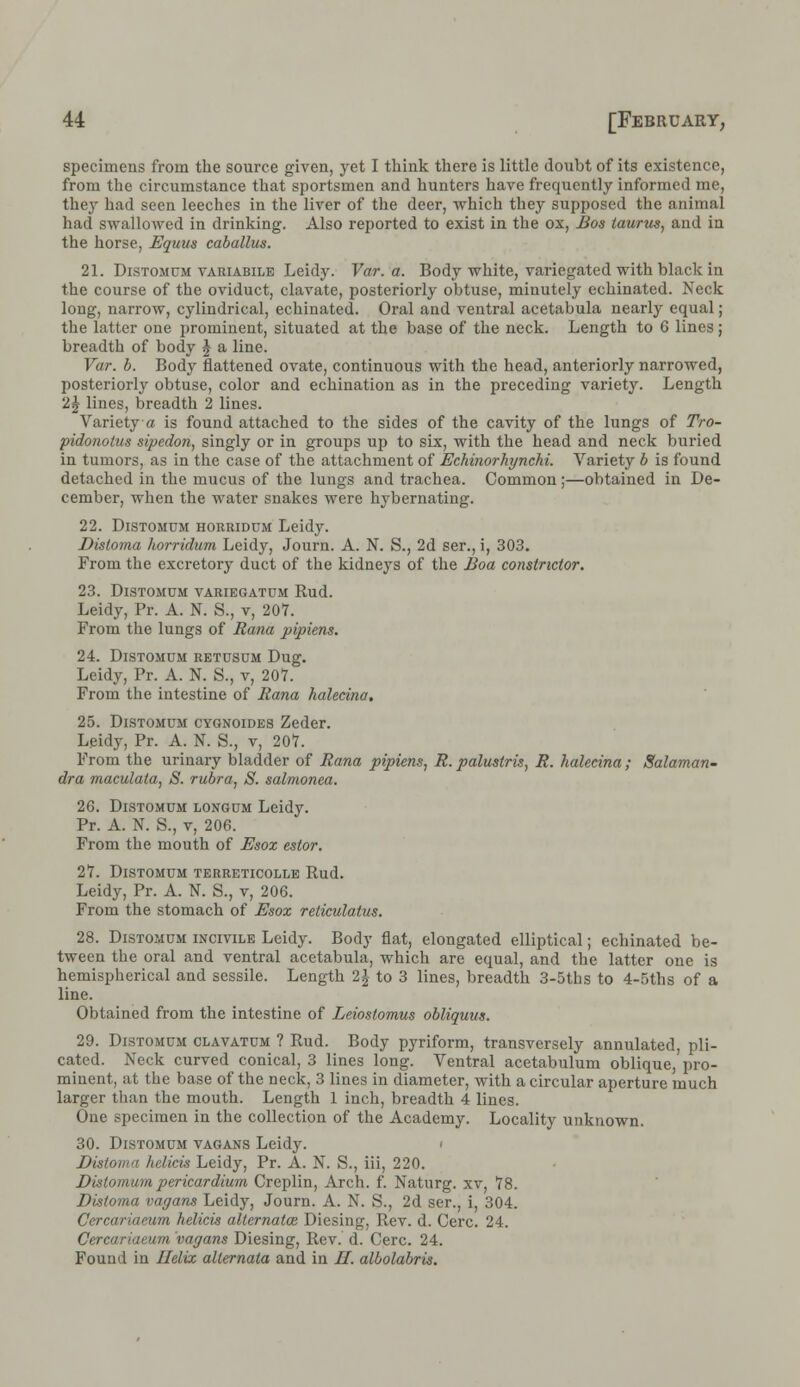 specimens from the source given, yet I think there is little doubt of its existence, from the circumstance that sportsmen and hunters have frequently informed me, they had seen leeches in the liver of the deer, which they supposed the animai had swallowed in drinking. Also reported to exist in the ox, Bos taunts, and in the horse, Equus caballus. 21. Distomum variabile Leidy. Var. a. Body white, variegated with black in the course of the oviduct, clavate, posteriorly obtuse, minutely echinated. Neck long, narrow, cylindrical, echinated. Oral and ventral acetabula nearly equal; the latter one prominent, situated at the base of the neck. Length to 6 lines; breadth of body £ a line. Var. b. Body flattened ovate, continuous with the head, anteriorly narrowed, posteriorly obtuse, color and echination as in the preceding variety. Length 'l\ lines, breadth 2 lines. Variety a is found attached to the sides of the cavity of the lungs of Tro- pidonotus sipedon, singly or in groups up to six, with the head and neck buried in tumors, as in the case of the attachment of Echinorhynchi. Variety b is found detached in the mucus of the lungs and trachea. Common ;—obtained in De- cember, when the water snakes were hybernating. 22. Distomum horridum Leidy. Disloma horridum Leidy, Journ. A. N. S., 2d ser., i, 303. From the excretory duct of the kidneys of the Boa constrictor. 23. Distomum variegatum Rud. Leidy, Pr. A. N. S., v, 207. From the lungs of Rana pipiens. 24. Distomum retusum Dug. Leidy, Pr. A. N. S., v, 207. From the intestine of Rana halecina. 25. Distomum cygnoides Zeder. Leidy, Pr. A. N. S., v, 207. From the urinary bladder of Rana pipiens, R.palustris, R. halecina; Salaman- dra maculata, S. rubra, S. salmonca. 26. Distomum longum Leidy. Pr. A. N. S., v, 206. From the mouth of Esox estor. 27. Distomum terreticolle Rud. Leidy, Pr. A. N. S., v, 206. From the stomach of Esox reticulatus. 28. Distomum incivile Leidy. Body flat, elongated elliptical; echinated be- tween the oral and ventral acetabula, which are equal, and the latter one is hemispherical and sessile. Length 1\ to 3 lines, breadth 3-5ths to 4-5ths of a line. Obtained from the intestine of Leiostomus obliquus. 29. Distomum clavatum ? Rud. Body pyriform, transversely annulated, pli- cated. Neck curved conical, 3 lines long. Ventral acetabulum oblique, pro- minent, at the base of the neck, 3 lines in diameter, with a circular aperture much larger than the mouth. Length 1 inch, breadth 4 lines. One specimen in the collection of the Academy. Locality unknown. 30. Distomum vagans Leidy. Distoma hclicis Leidy, Pr. A. N. S., iii, 220. Distomum pericardium Creplin, Arch. f. Naturg. xv, 78. Distoma vagans Leidy, Journ. A. N. S., 2d ser., i, 304. Cercariaeum helicis alternatce Diesing, Rev. d. Cere. 24. Cercariaeum vagans Diesing, Rev. d. Cere. 24. Found in Helix allernata and in H. albolabris.