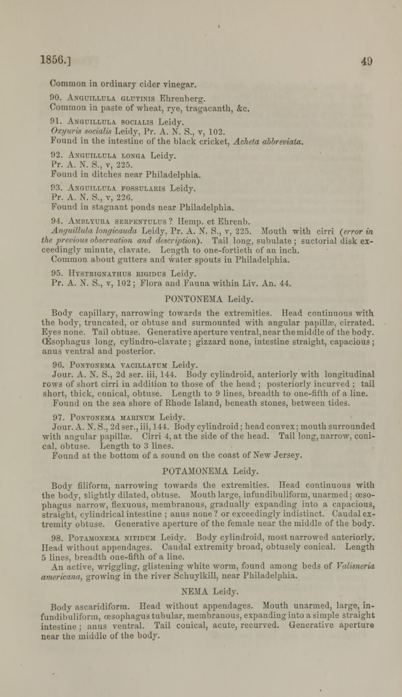 Common in ordinary cider vinegar. 90. Anguilltjla glutinis Ehrenberg. Common in paste of wheat, rye, tragacanth, &c. 91. Anguillula socialis Leidy. Oxyuris socialis Leidy, Pr. A. N. S., v, 102. Found in the intestine of the black cricket, Acheta abbreviata. 92. Anguillula longa Leidy. Pr. A. N. S., v, 225. Pound in ditches near Philadelphia. 93. Anguillula fossularis Leidy. Pr. A. N. S., v, 226. Found in stagnant ponds near Philadelphia. 94. Amblyura serpentulus ? Hemp, et Ehrenb. Anguillula longicauda Leidy, Pr. A. N. S., v, 225. Mouth with cirri {error in the previous observation and description). Tail long, subulate ; suctorial disk ex- ceedingly minute, clavate. Length to one-fortieth of an inch. Common about gutters and water spouts in Philadelphia. 95. Hystrtgnathus rigidus Leidy. Pr. A. N. S., v, 102; Flora and Fauna within Liv. An. 44. PONTONEMA Leidy. Body capillary, narrowing towards the extremities. Head continuous with the body, truncated, or obtuse and surmounted with angular papilla?, cirrated. Eyes none. Tail obtuse. Generative aperture ventral, near the middle of the body. (Esophagus long, cylindro-clavate ; gizzard none, intestine straight, capacious ; anus ventral and posterior. 96. Pontonema vacillatum Leidy. Jour. A. N. S., 2d ser. iii, 144. Body cylindroid, anteriorly with longitudinal rows of short cirri in addition to those of the head ; posteriorly incurved ; tail short, thick, conical, obtuse. Length to 9 lines, breadth to one-fifth of a line. Found on the sea shore of Rhode Island, beneath stones, between tides. 91. Pontonema marinum Leidy. Jour. A. N. S., 2d ser., iii, 144. Body cylindroid; head convex; mouth surrounded with angular papillae. Cirri 4, at the side of the head. Tail long, narrow, coni- cal, obtuse. Length to 3 lines. Found at the bottom of a sound on the coast of New Jersey. POTAMONEMA Leidy. Body filiform, narrowing towards the extremities. Head continuous with the body, slightly dilated, obtuse. Mouth large, infundibuliform, unarmed; oeso- phagus narrow, flexuous, membranous, gradually expanding into a capacious, straight, cylindrical intestine ; anus none? or exceedingly indistinct. Caudal ex- tremity obtuse. Generative aperture of the female near the middle of the body. 98. Potamonema nitidum Leidy. Body cylindroid, most narrowed anteriorly. Head without appendages. Caudal extremity broad, obtusely conical. Length 5 lines, breadth one-fifth of a line. An active, wriggling, glistening white worm, found among beds of Valisneria americana, growing in the river Schuylkill, near Philadelphia. NEMA Leidy. Body ascaridiform. Head without appendages. Mouth unarmed, large, in- fundibuliform, oesophagus tubular, membranous, expanding into a simple straight intestine ; anus ventral. Tail conical, acute, recurved. Generative aperture near the middle of the body.