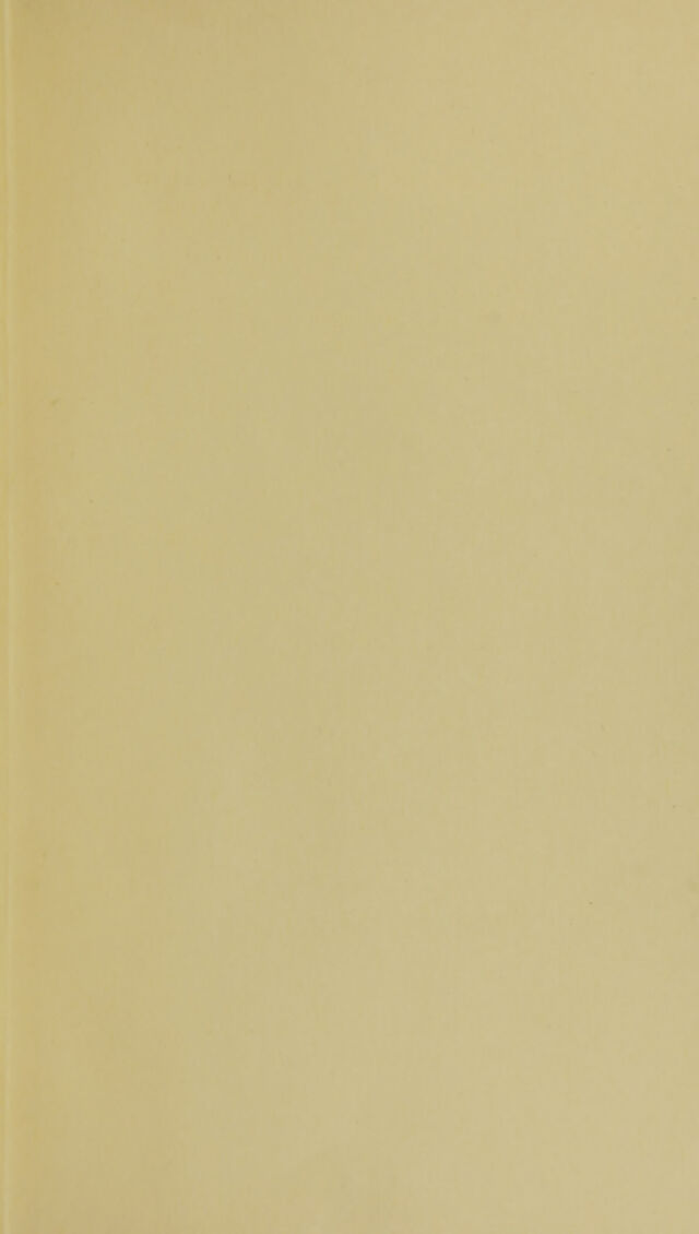 digitised image 3
