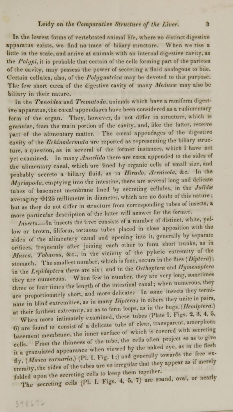 In the lowest forms of vertebrated animal life, where no distinct digestive apparatus exists, we find no trace of biliary structure. When we rise a Utile in the scale, and arrive at animals with an internal digestive cavity, as the Polypi, it is probable that certain of the cells form ins; part of the parities of the cavity, may possess the power of secreting a fluid analogous to bile. Certain cellules, also, of the PolygCUtriea may be deTOted to this purpose. The few short area of the digestive cavity of many Med time may also be biliary in their nature. In the T.xnoidea and Trernatoda, animals which have a ramiform dig ive apparatus, the enseal appendages have been considered as a rudimentary form of the organ. They, however, do not differ in structure, which is granular, from the main portion of the cavity, and, like the latter, receive part of the alimentary matter. The cereal appendages of the digestive cavity of the Erhuiodernuila are reported as representing the biliary struc- ture, a question, as in several of the former instances, which I have not yet examined. In many Annelida there are cu-ca appended to the si ' the alimentary canal, which are lined by organic cells of small >:/.-, and probably secrete a biliary fluid, as in ffirudo, Arenieoht, ^r. In the Myriapoda, emptying into the intestine, there are several long and delicate tubes of basement membrane lined by secretin- cellules in the JuUdm averaging-0125 millimetre in diameter, which are no doubt of this nature; but as they do not differ in structure from corresponding tubes of insect*, a more particular description of the latter will answer for the former. Jnserts —In insects the liver consists of a number of distinct, Sfhite, ye- lowor brown, filiform, tortuous lubes placed in close apposition with the sides of the alimentary canal and opening into it, generally by separate orifices, frequently after joining each other to form short trunks, as in M*,ca, Tabanw, fcc., in the ricinity of the pyloric extremity of the stomach. The smallest number, which is lour, occurs in the fl.es (thptera); in the LtpidtpttT* there are six ; and in the Orthoptera and ffymenoptera they are numerous. When few in number, they are very long, sometime. three or four times the length of the intestinal canal; when numerous, they are proportionate!v short, and more delicate. In some ineectS they ternn- Ze in blind extremities as in many Diptora, in others they unue in p., s ^their farthest extremity, so« to form loops,as fa.the b-£(*V When -ore intimat^ examined, these tubes Plate I. Pig.. 2. «, 4, R, «Z fll to consist of a delicate tube of clear, transparent, amorphous I, membrane, the inner surface of winch IS covered with secretmg • From the thinness of the tube, the cdls often project so as t eelh. '  . . . ,,,,1,,,,] ,..,, »< n the flesh i, -, .rr.miUcJ appearance when viewed by ine n.,U u . >• . * H , „,™ W,.l (PL L Fig. Id -< I—* —'* **Z2 <• -i *—sTtfTTf :**-£-.«*«-* The secreting celLs [J L I. figs, i, , ;