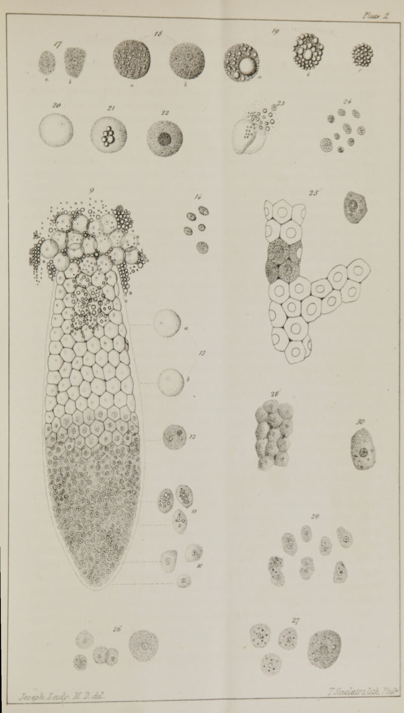 ;;'& £ ^•Oo 0 ' «. . 3 f