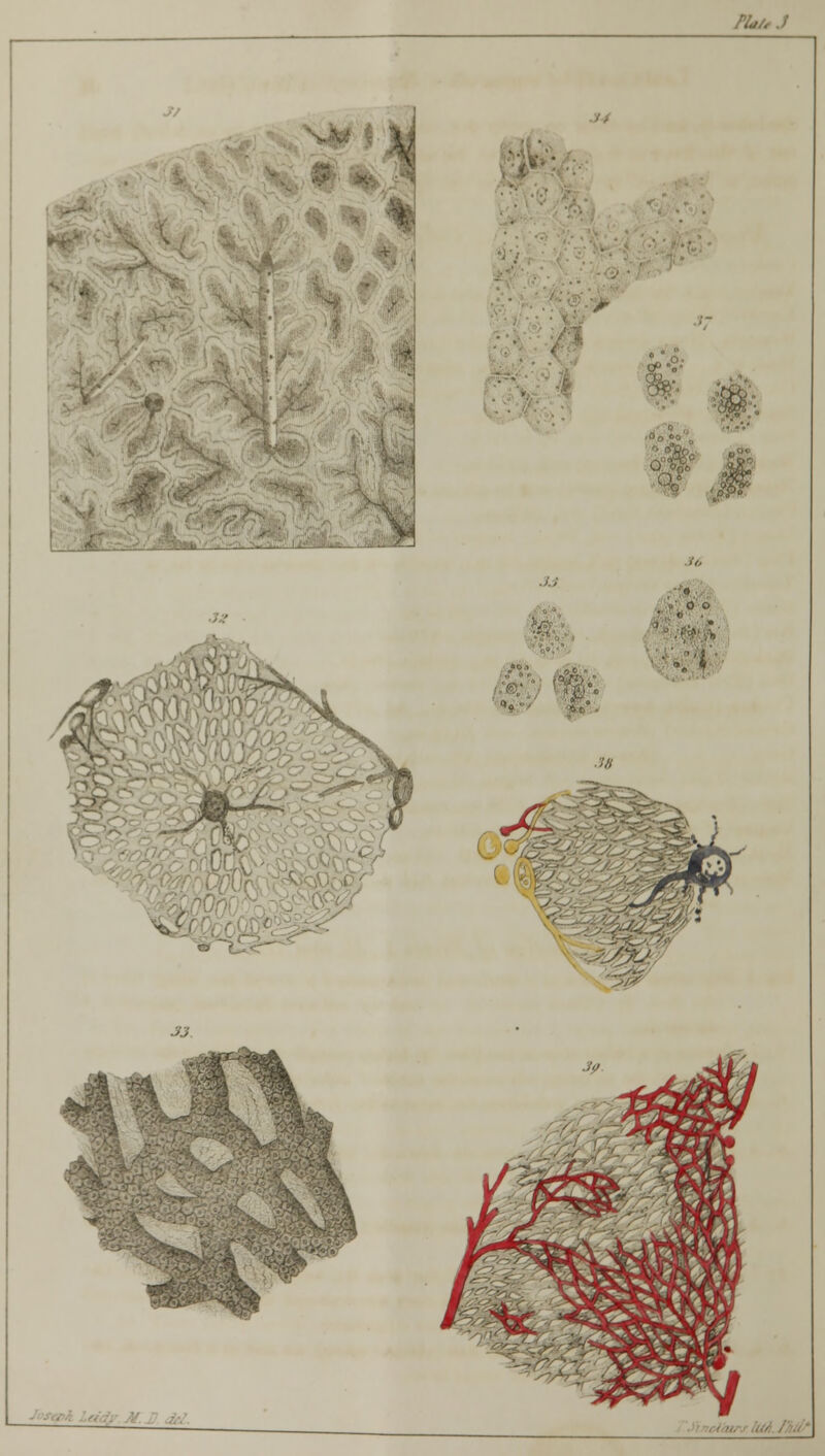 ■ > !/.o. ■9! M 4