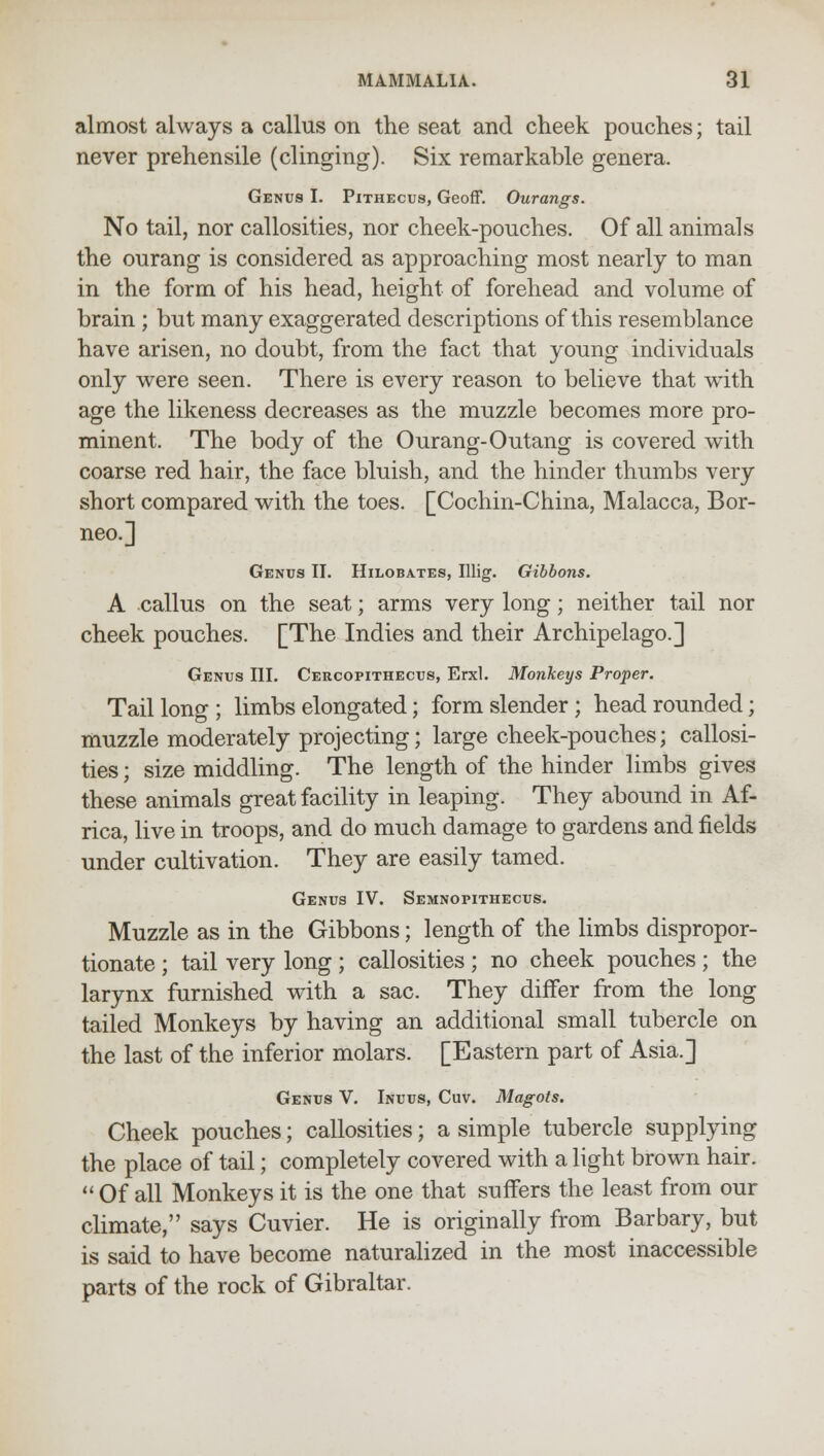 almost always a callus on the seat and cheek pouches; tail never prehensile (clinging). Six remarkable genera. Genus I. Pithecus, Geoff. Ourangs. No tail, nor callosities, nor cheek-pouches. Of all animals the ourang is considered as approaching most nearly to man in the form of his head, height of forehead and volume of brain; but many exaggerated descriptions of this resemblance have arisen, no doubt, from the fact that young individuals only were seen. There is every reason to believe that with age the likeness decreases as the muzzle becomes more pro- minent. The body of the Ourang-Outang is covered with coarse red hair, the face bluish, and the hinder thumbs very short compared with the toes. [Cochin-China, Malacca, Bor- neo.] Genus II. Hilobates, Illig. Gibbons. A callus on the seat; arms very long; neither tail nor cheek pouches. [The Indies and their Archipelago.] Genus III. Cercopithecus, Erxl. Monkeys Proper. Tail long ; limbs elongated; form slender; head rounded; muzzle moderately projecting; large cheek-pouches; callosi- ties ; size middling. The length of the hinder limbs gives these animals great facility in leaping. They abound in Af- rica, live in troops, and do much damage to gardens and fields under cultivation. They are easily tamed. Genus IV. Semnopithecus. Muzzle as in the Gibbons; length of the limbs dispropor- tionate ; tail very long ; callosities ; no cheek pouches ; the larynx furnished with a sac. They differ from the long tailed Monkeys by having an additional small tubercle on the last of the inferior molars. [Eastern part of Asia.] Genus V. Inuus, Cuv. Magots. Cheek pouches; callosities; a simple tubercle supplying the place of tail; completely covered with a light brown hair.  Of all Monkeys it is the one that suffers the least from our climate, says Cuvier. He is originally from Barbary, but is said to have become naturalized in the most inaccessible parts of the rock of Gibraltar.